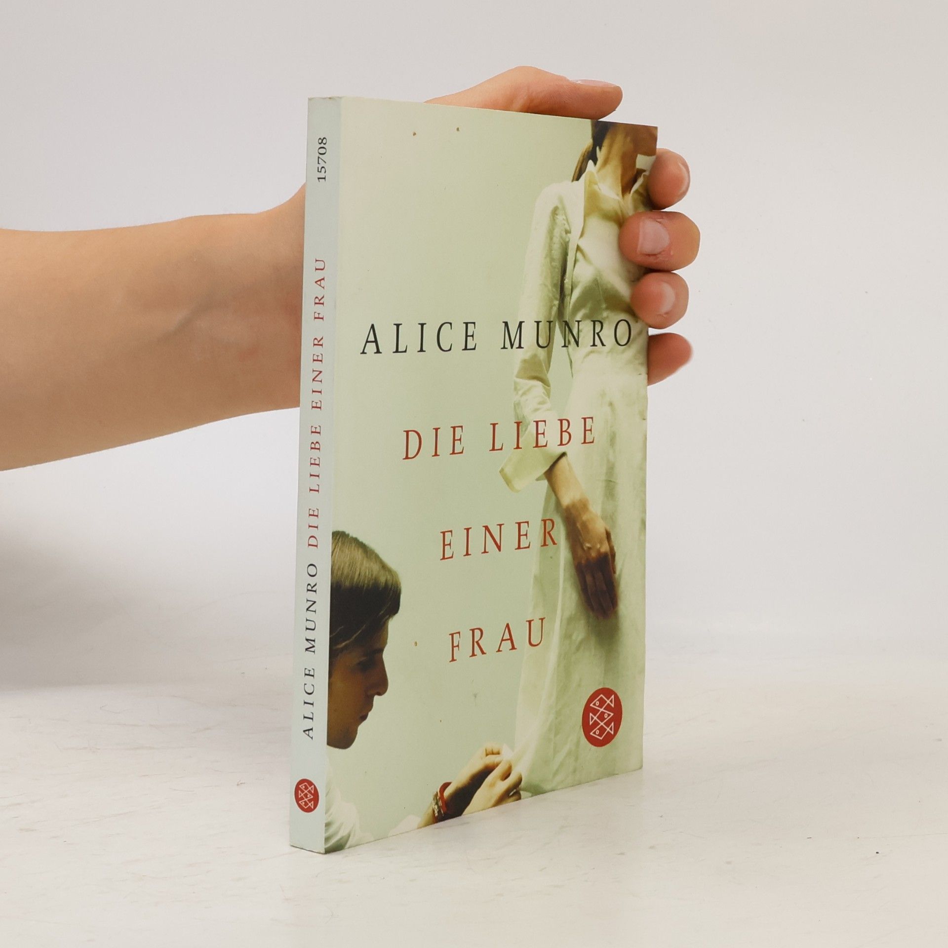 Alice Munro Die Liebe einer Frau