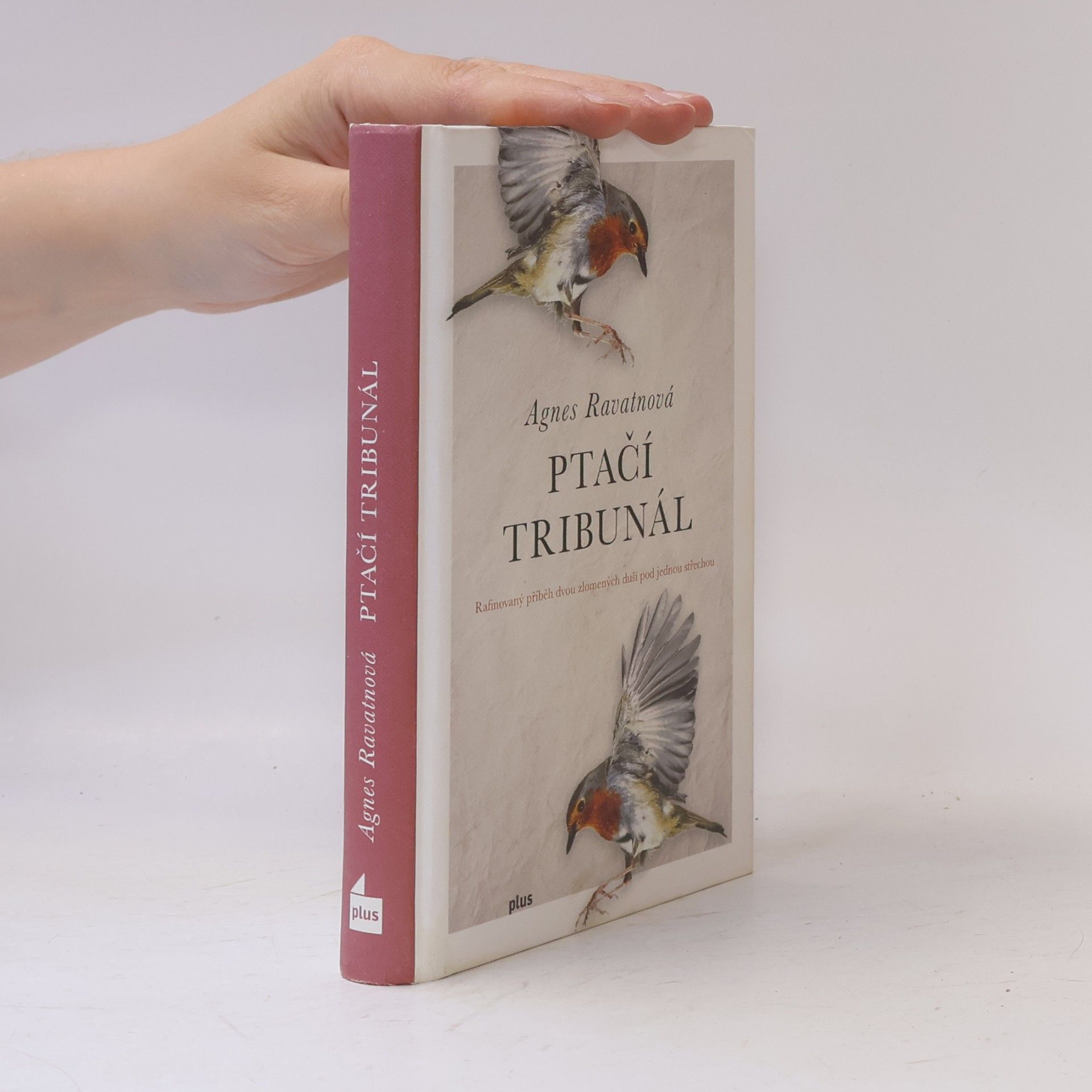 Agnes Ravatn Ptačí tribunál