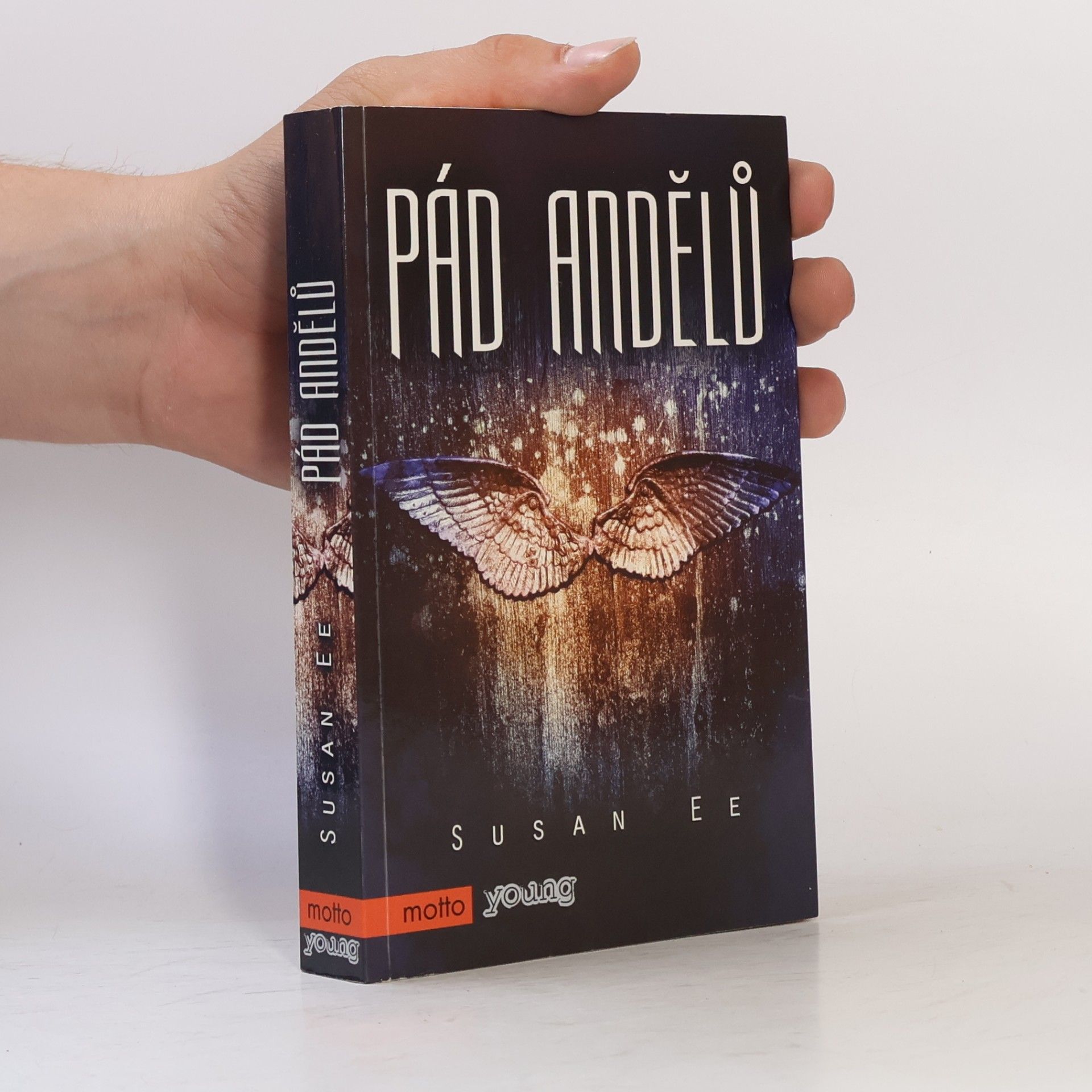 Susan Ee Pád andělů