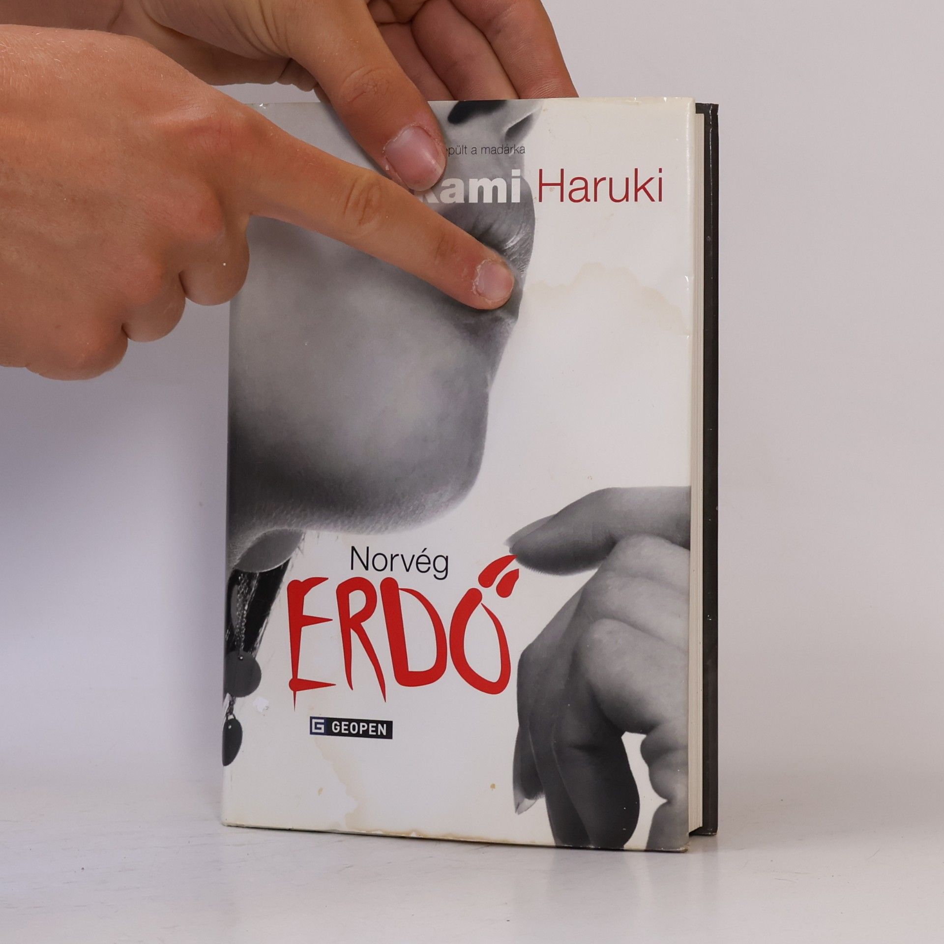 Haruki Murakami Norvég erdő
