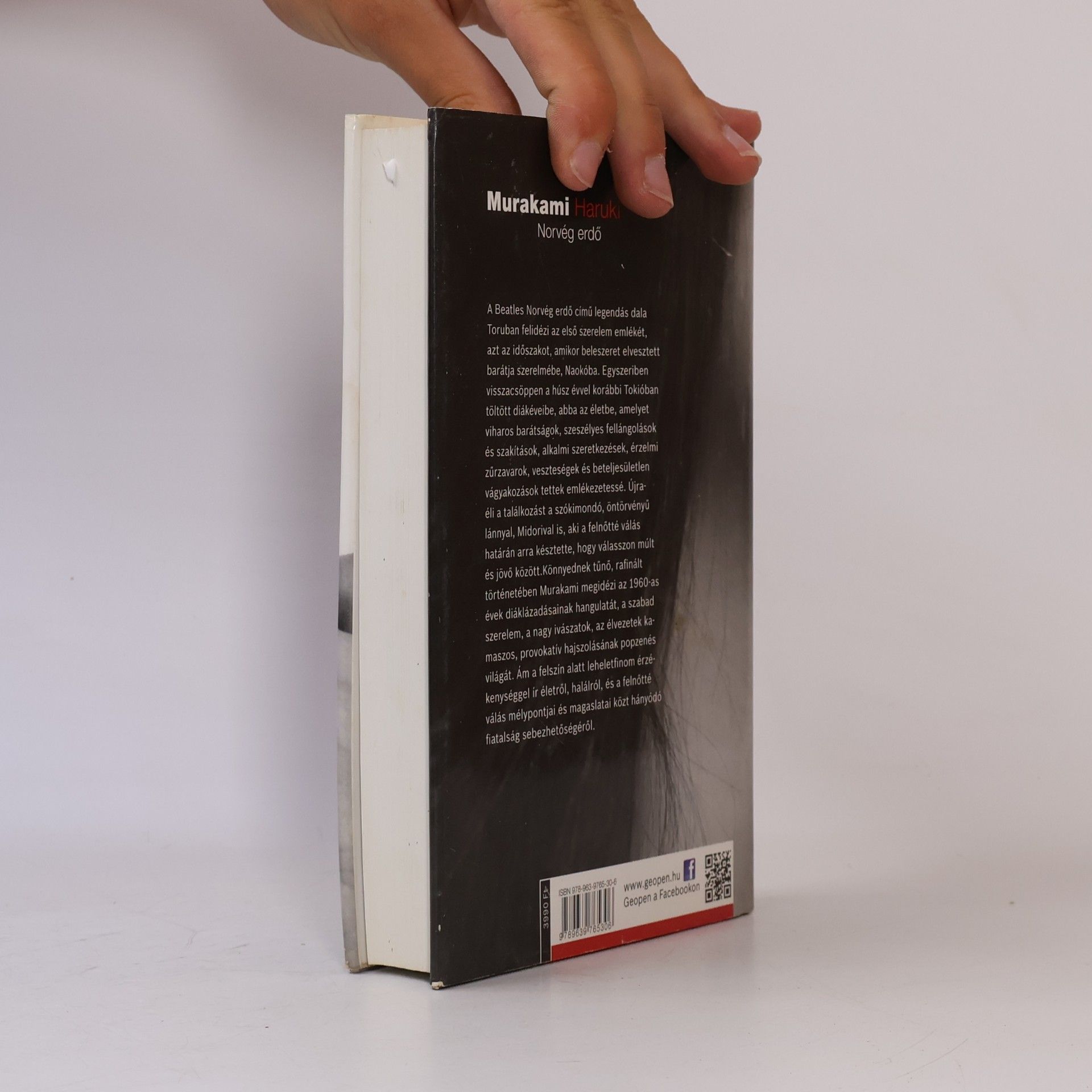 Haruki Murakami Norvég erdő