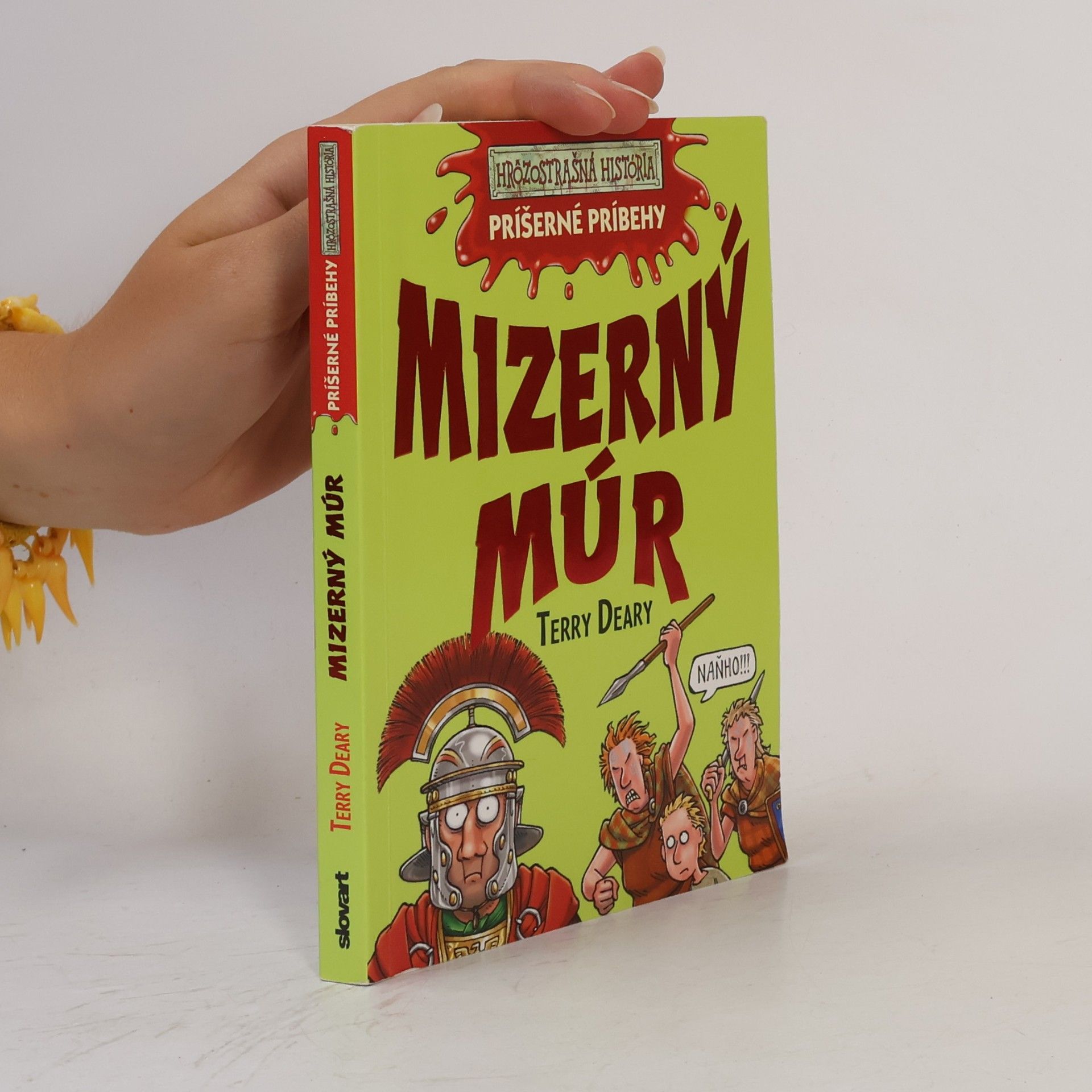Mizerný múr