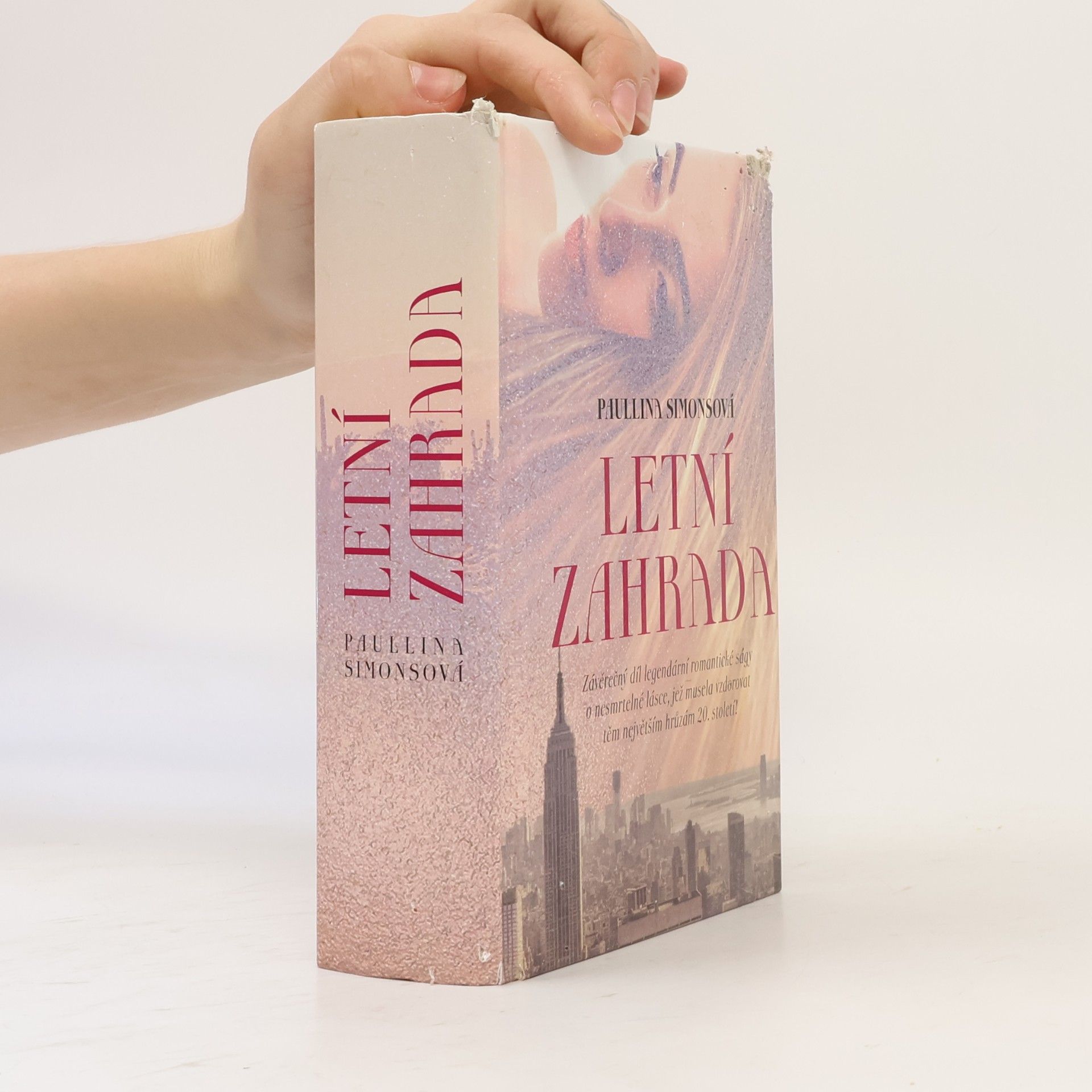 Paullina Simons Letní zahrada