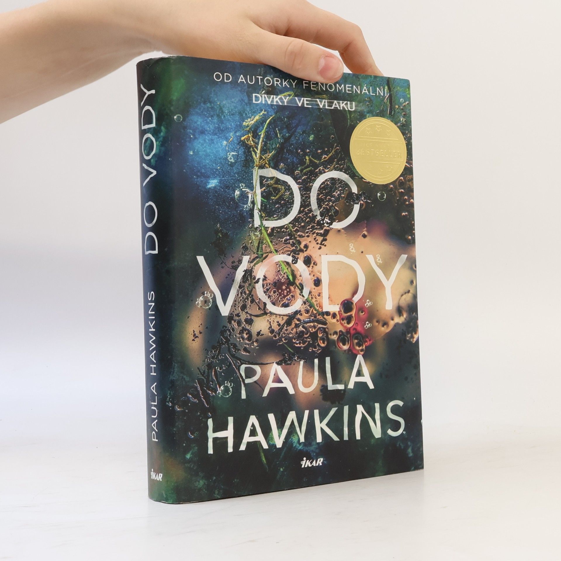 Paula Hawkins Do vody