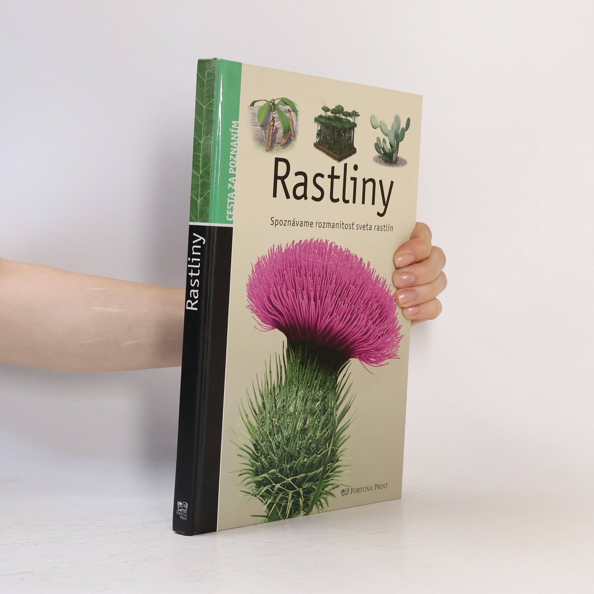 Stéphane Batigne Rastliny (Spoznávame rozmanitosť sveta rastlín