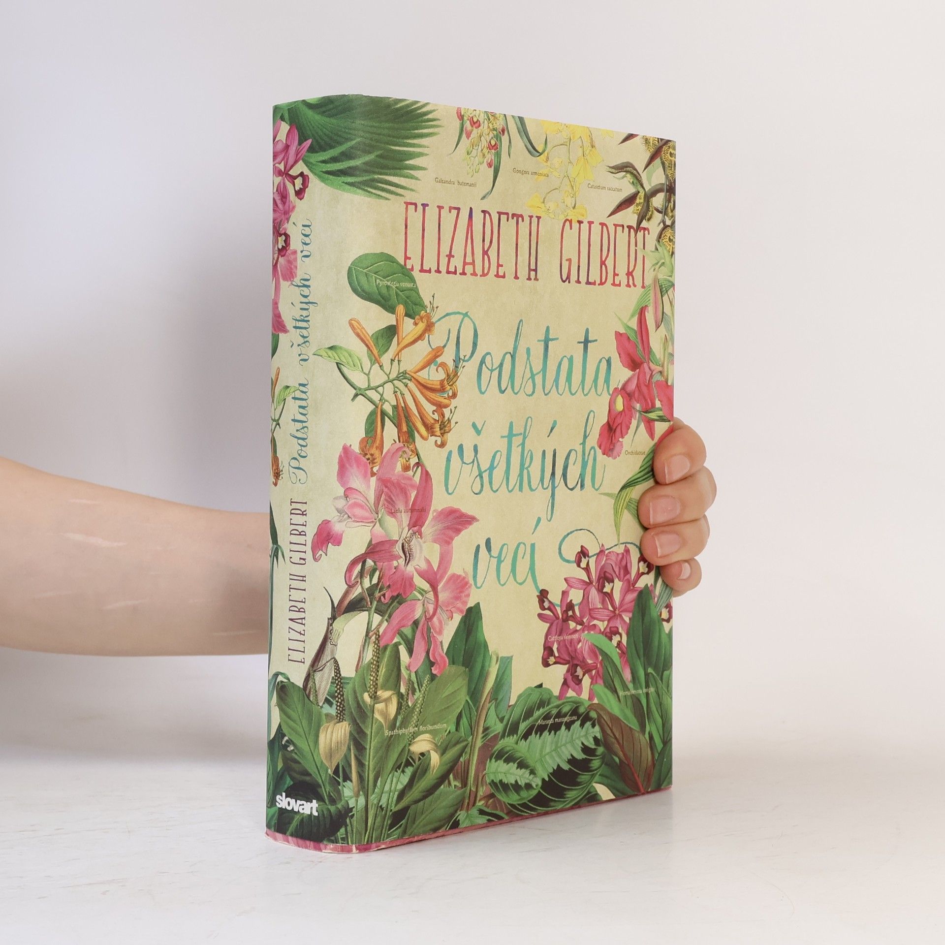 Elizabeth Gilbert Podstata všetkých vecí