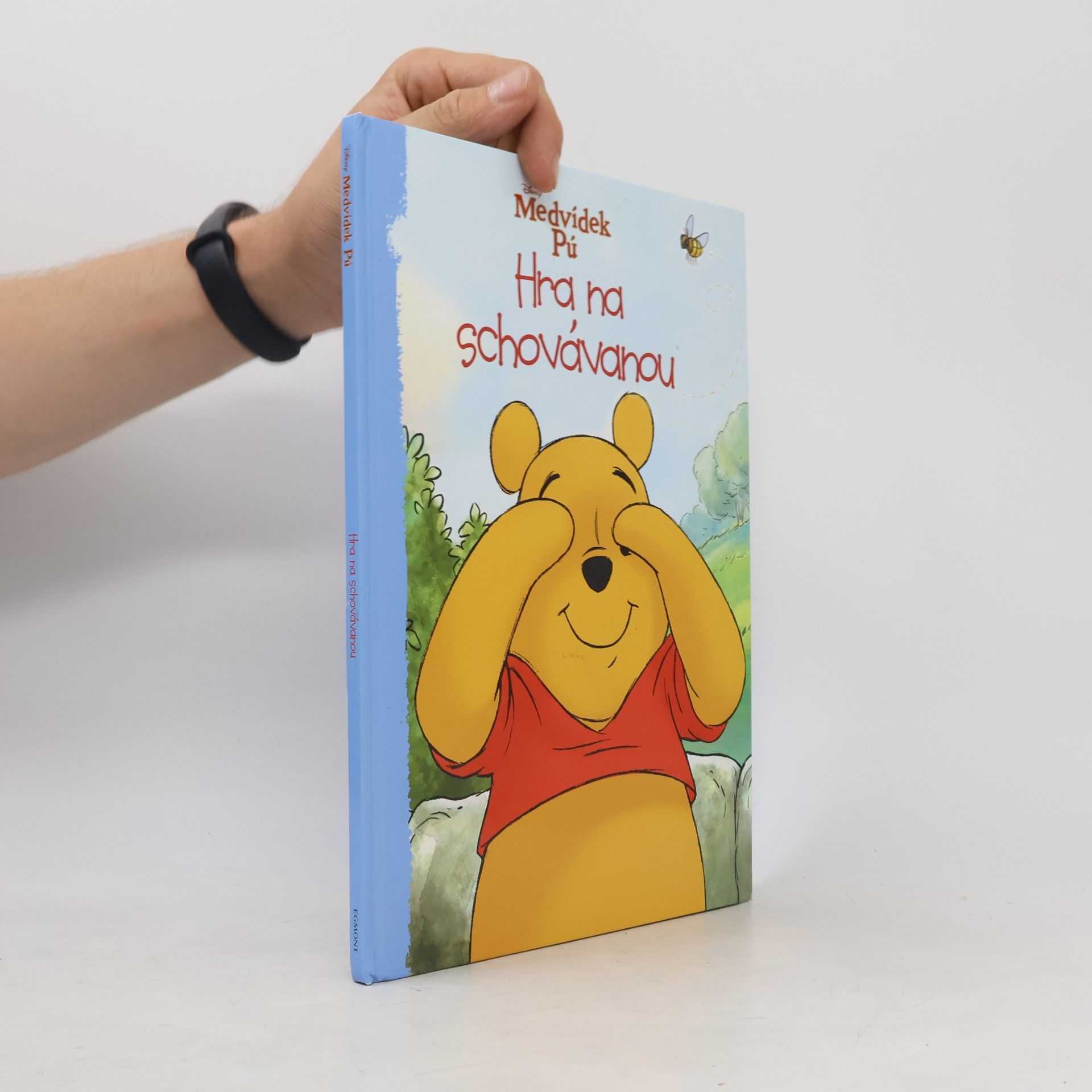 Walt Disney Hra na schovávanou