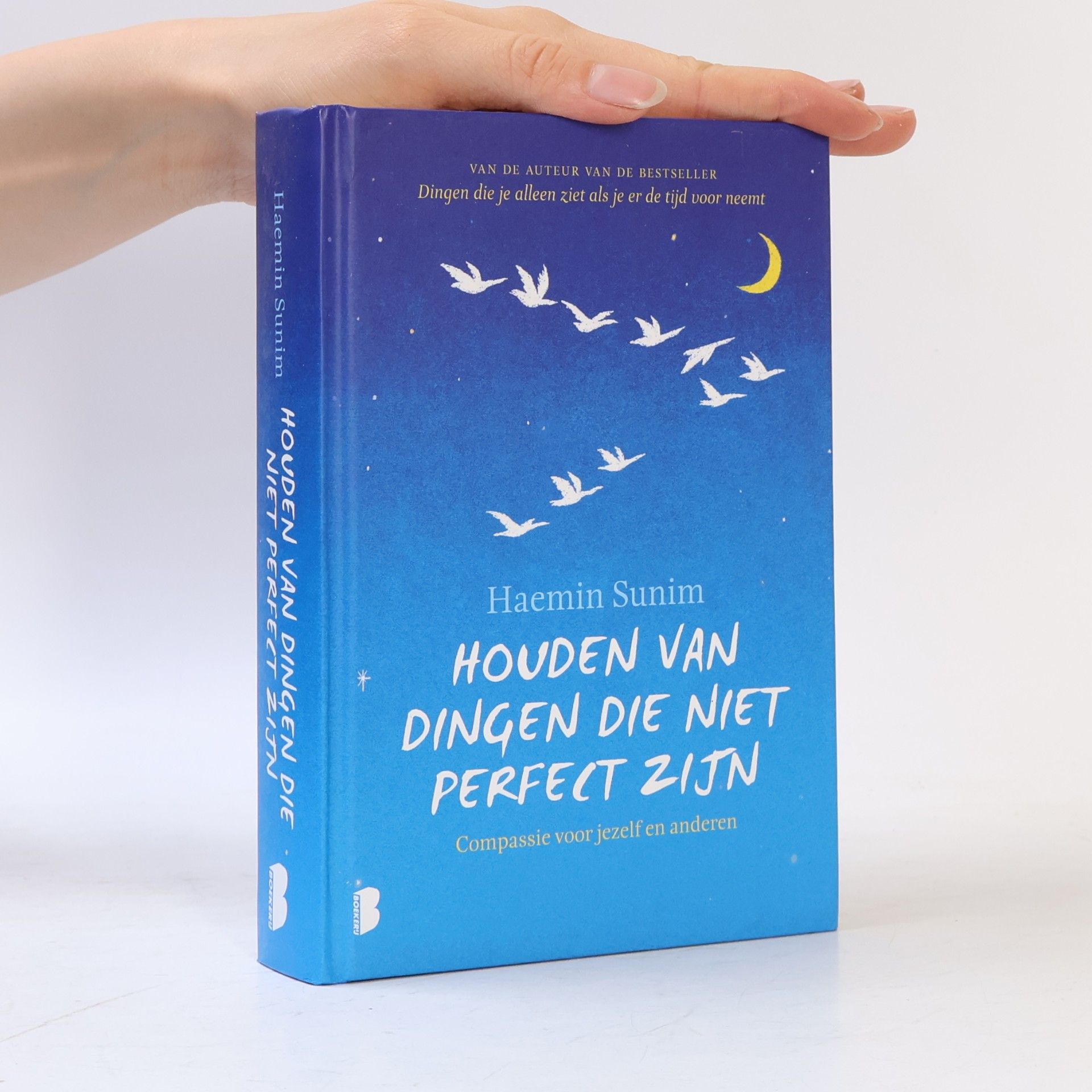 Haenim Sunim Houden van dingen die niet perfect zijn