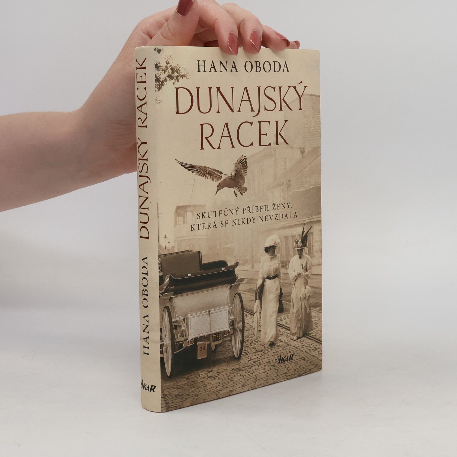 Hana Kolaříková Dunajský racek