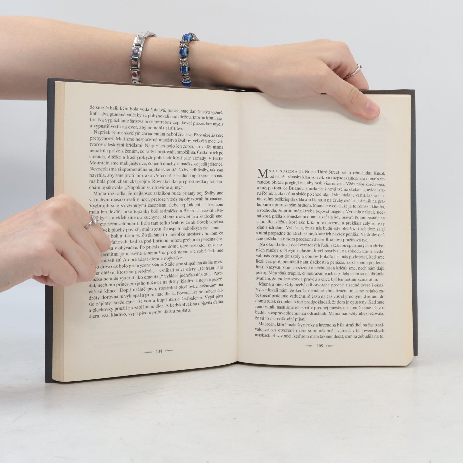Jeannette Walls Sklený zámok