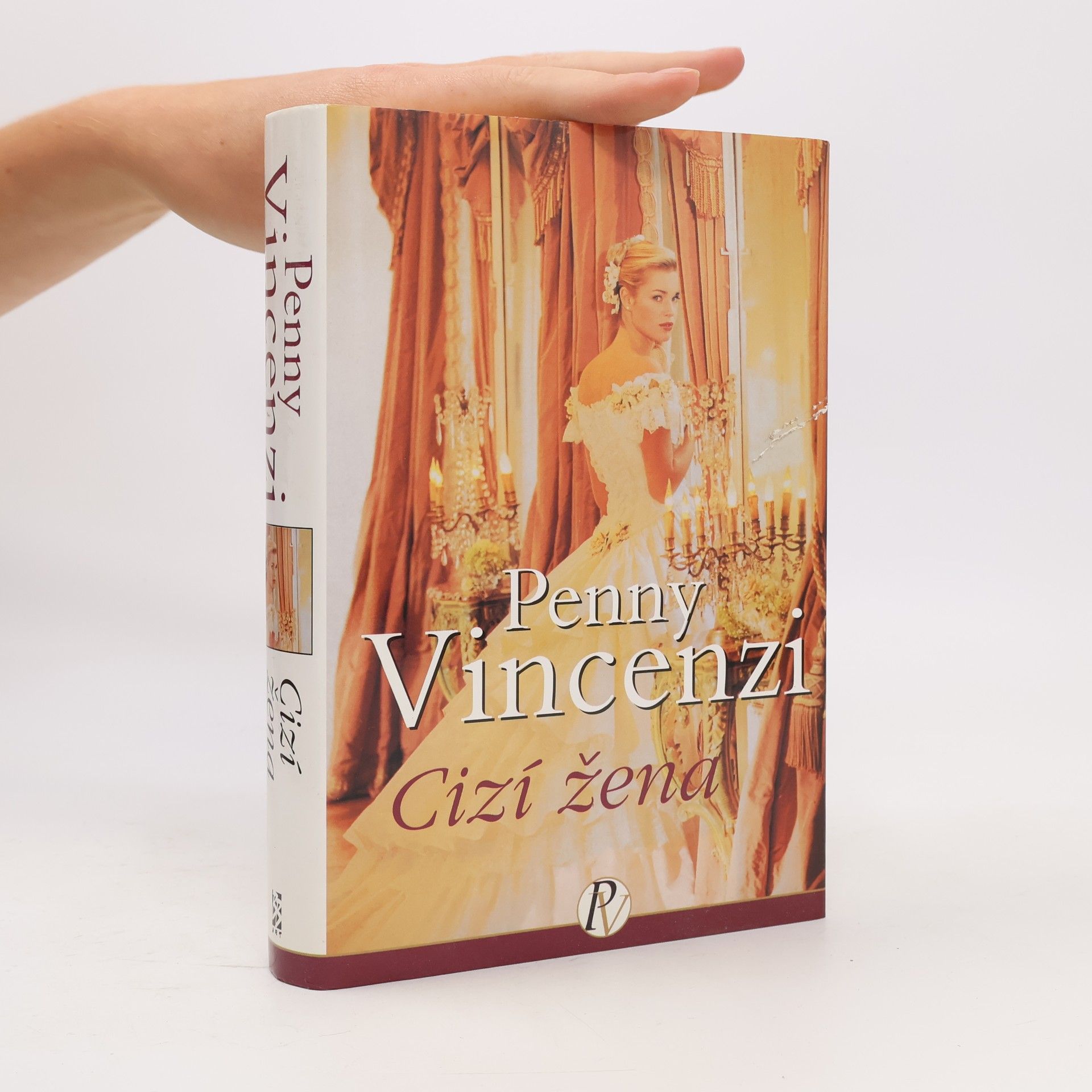 Penny Vincenzi Cizí žena