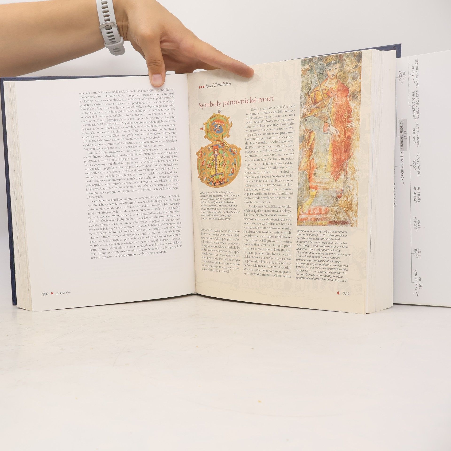 Various authors Přemyslovci. Budování českého státu