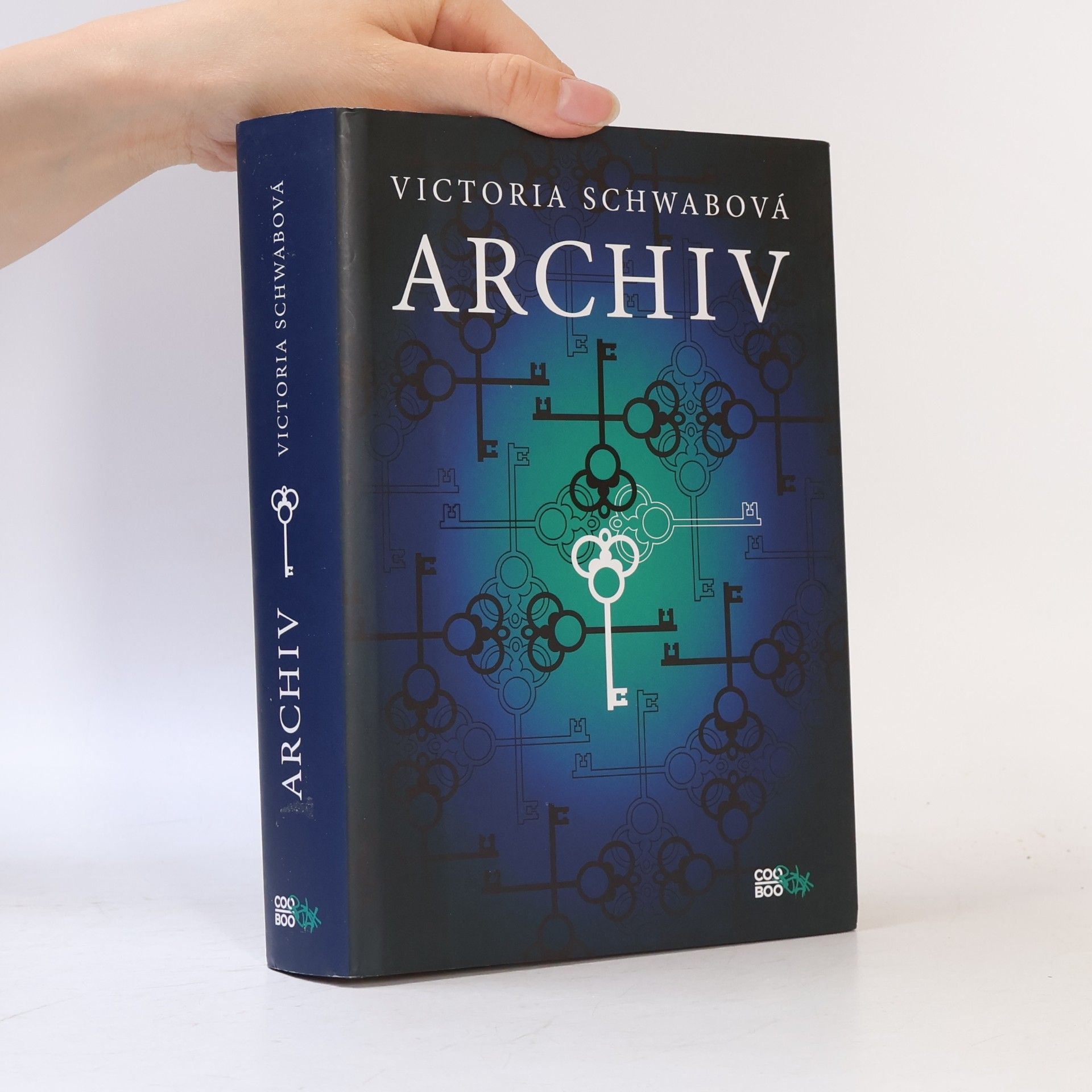 V. E. Schwab Archiv