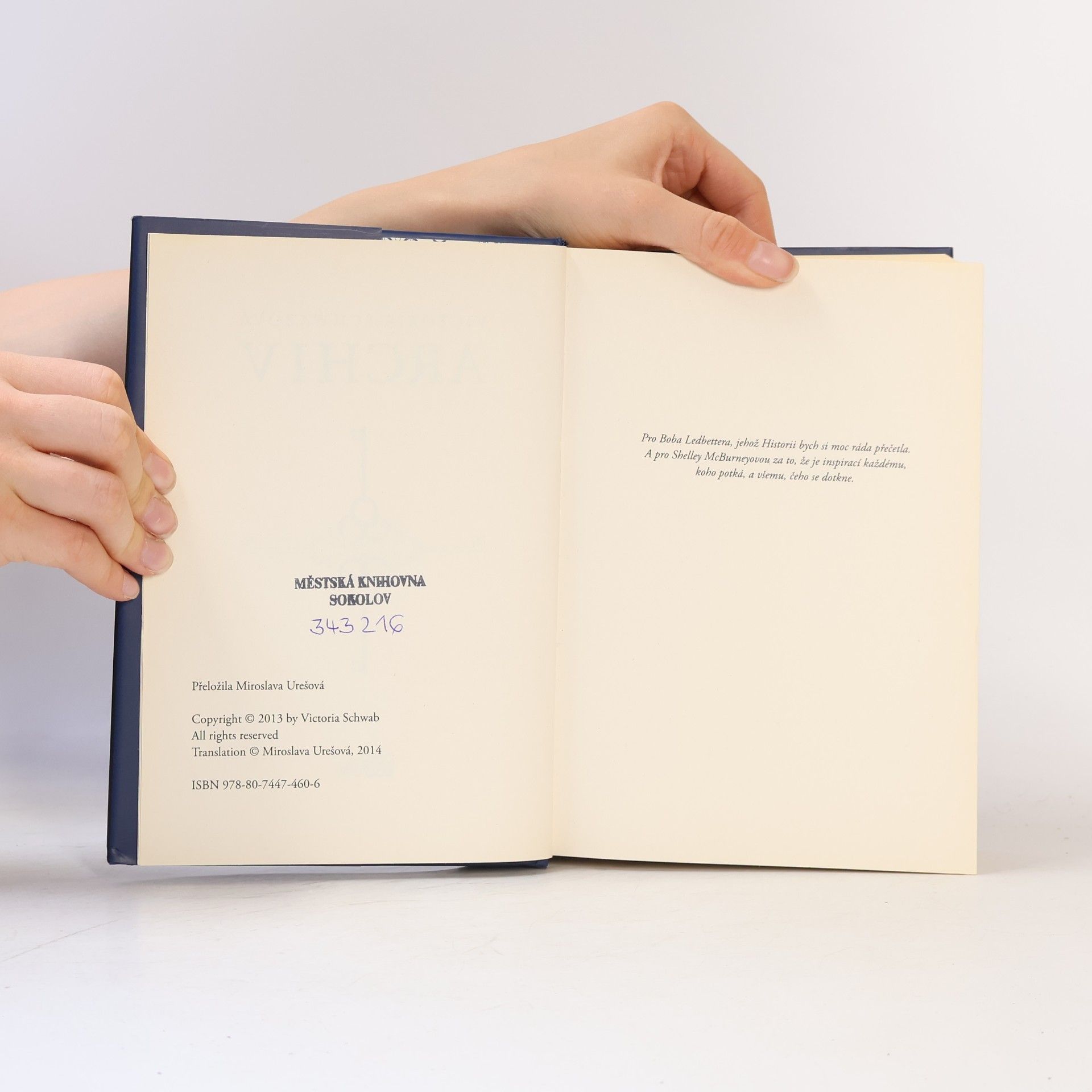 V. E. Schwab Archiv