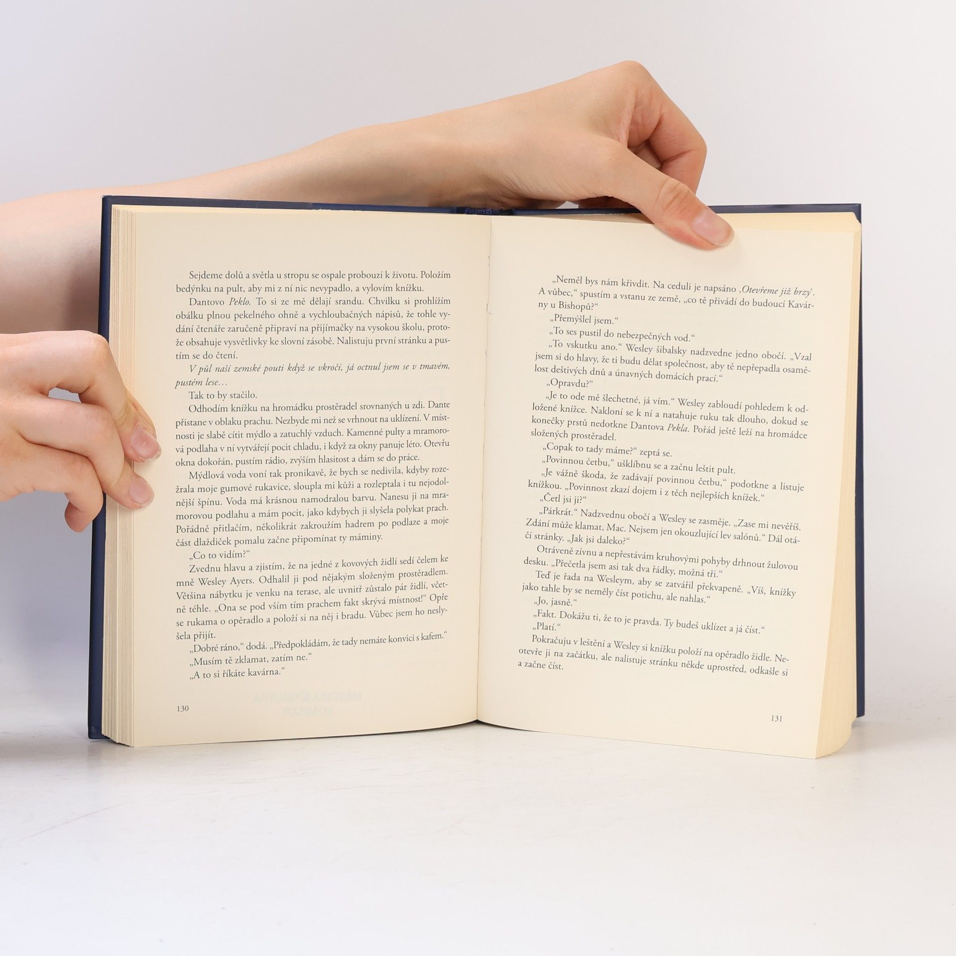 V. E. Schwab Archiv