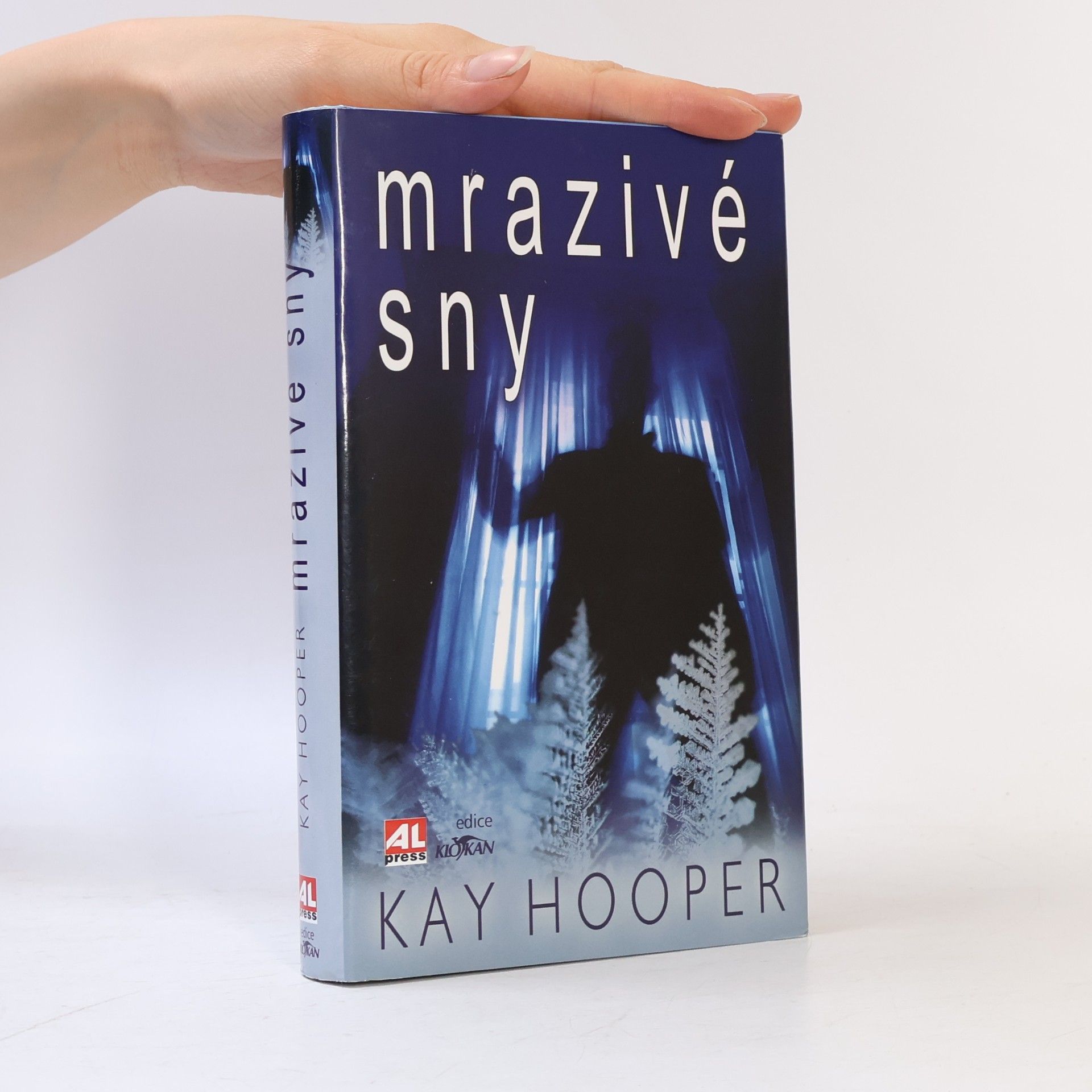 Kay Hooper Mrazivé sny