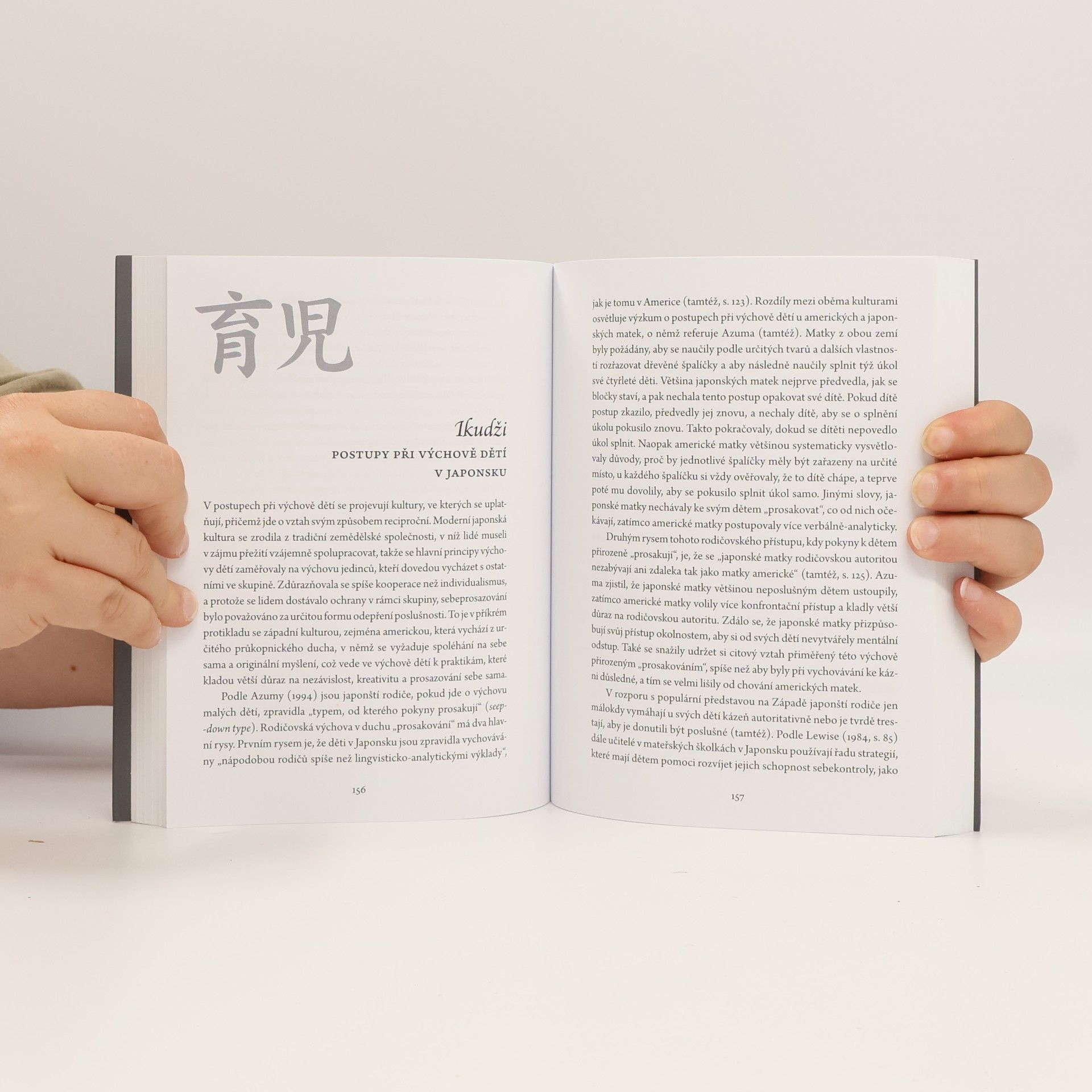 Osamu Ikeno Japonská mysl: Jak porozumět současné japonské kultuře