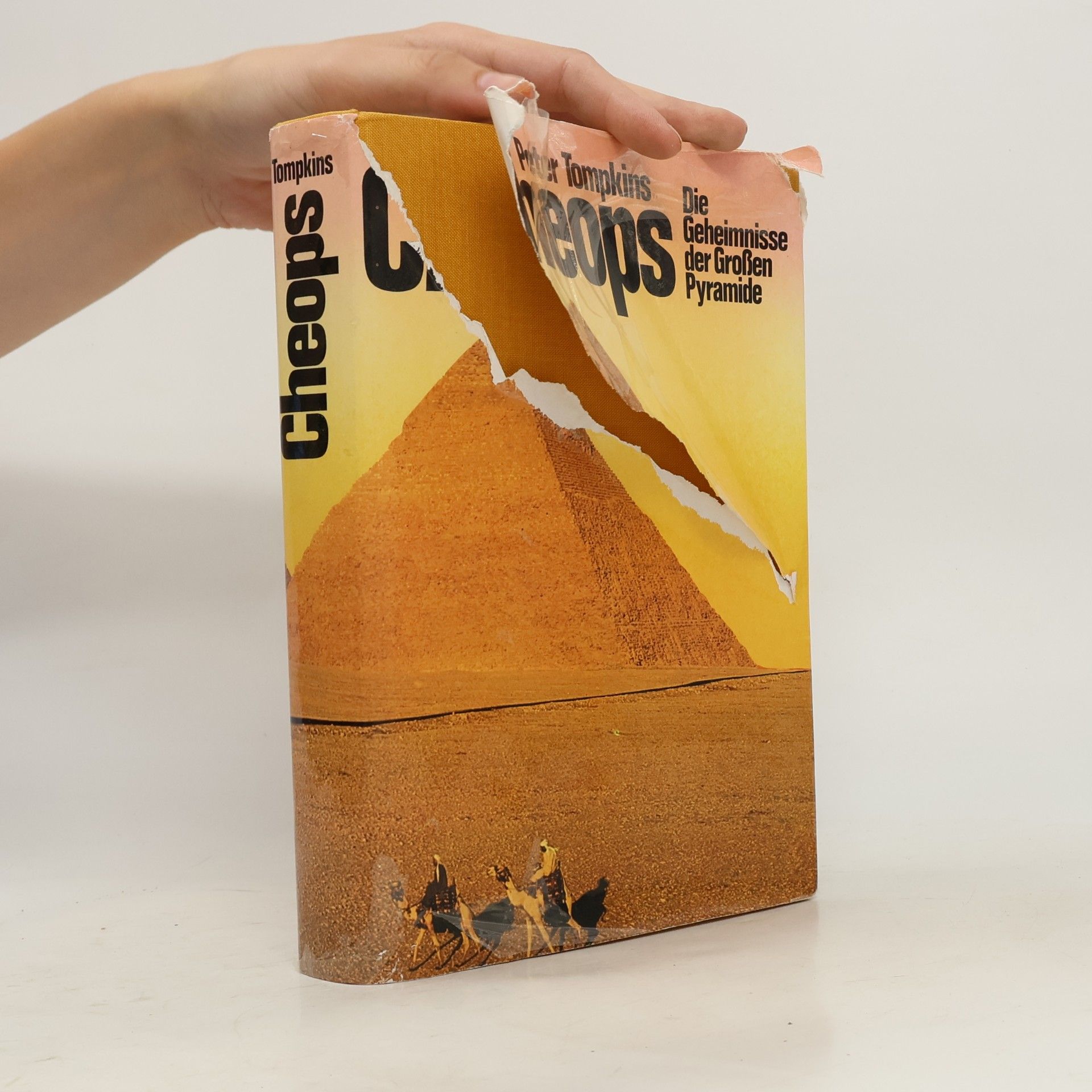 Cheops. Die Geheimnisse der Großen Pyramide