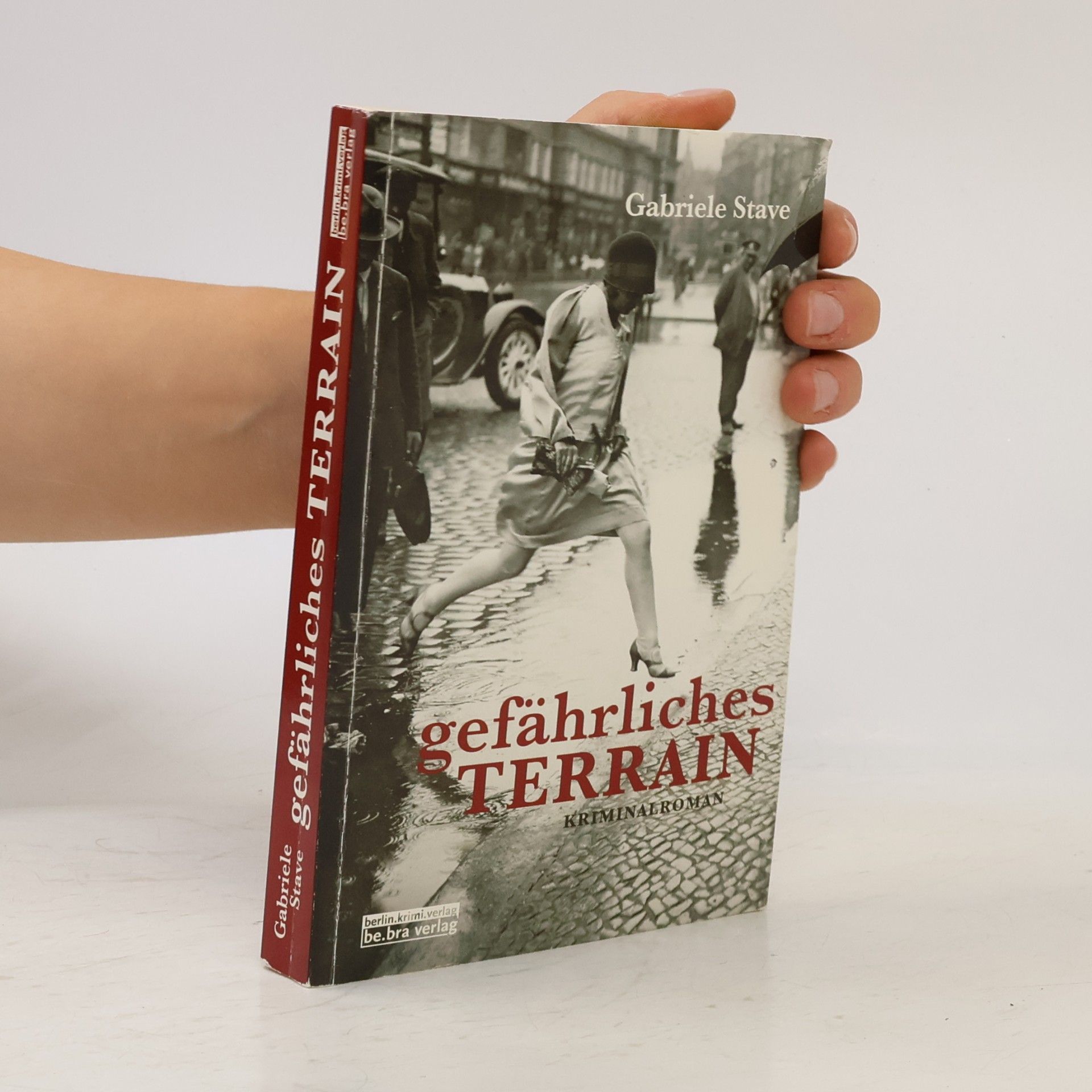 Gabriele Stave Gefährliches Terrain