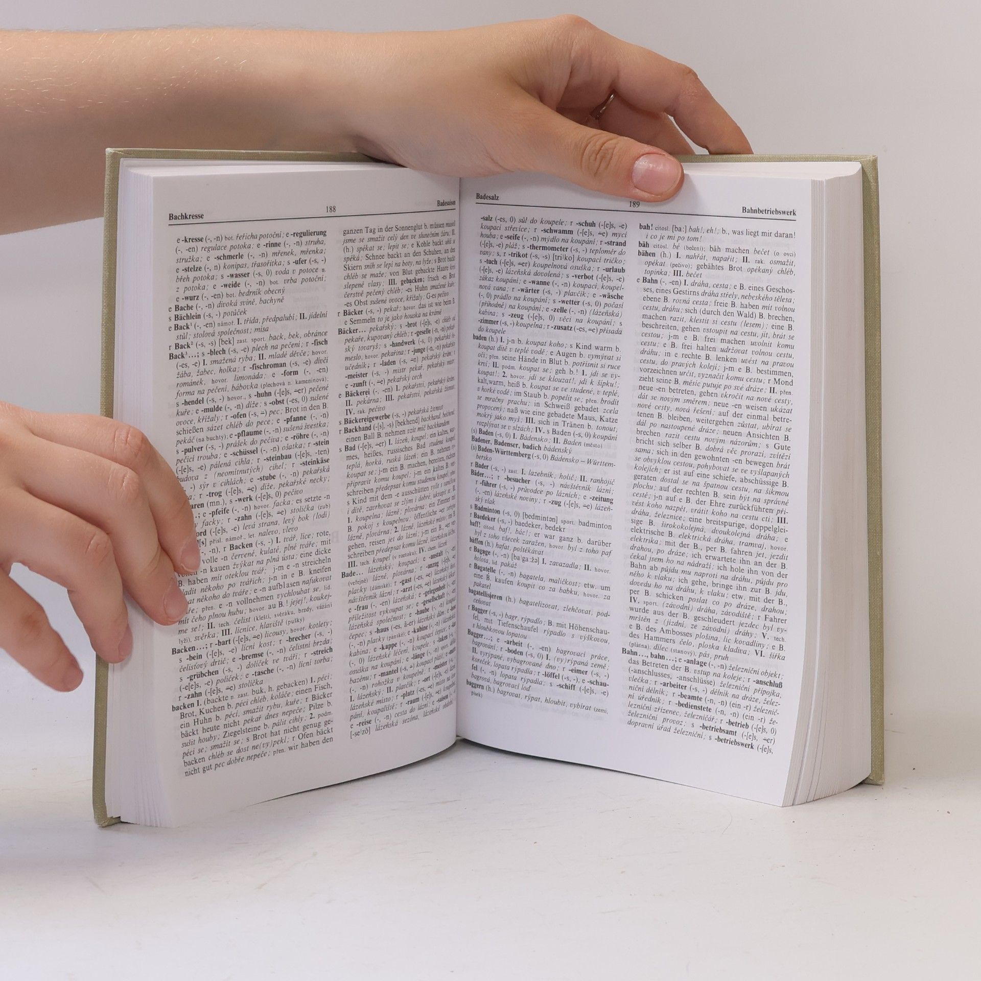Josef Fanta Německo-český slovník I. Deutsch-tschechisches Wörterbuch I. A-L
