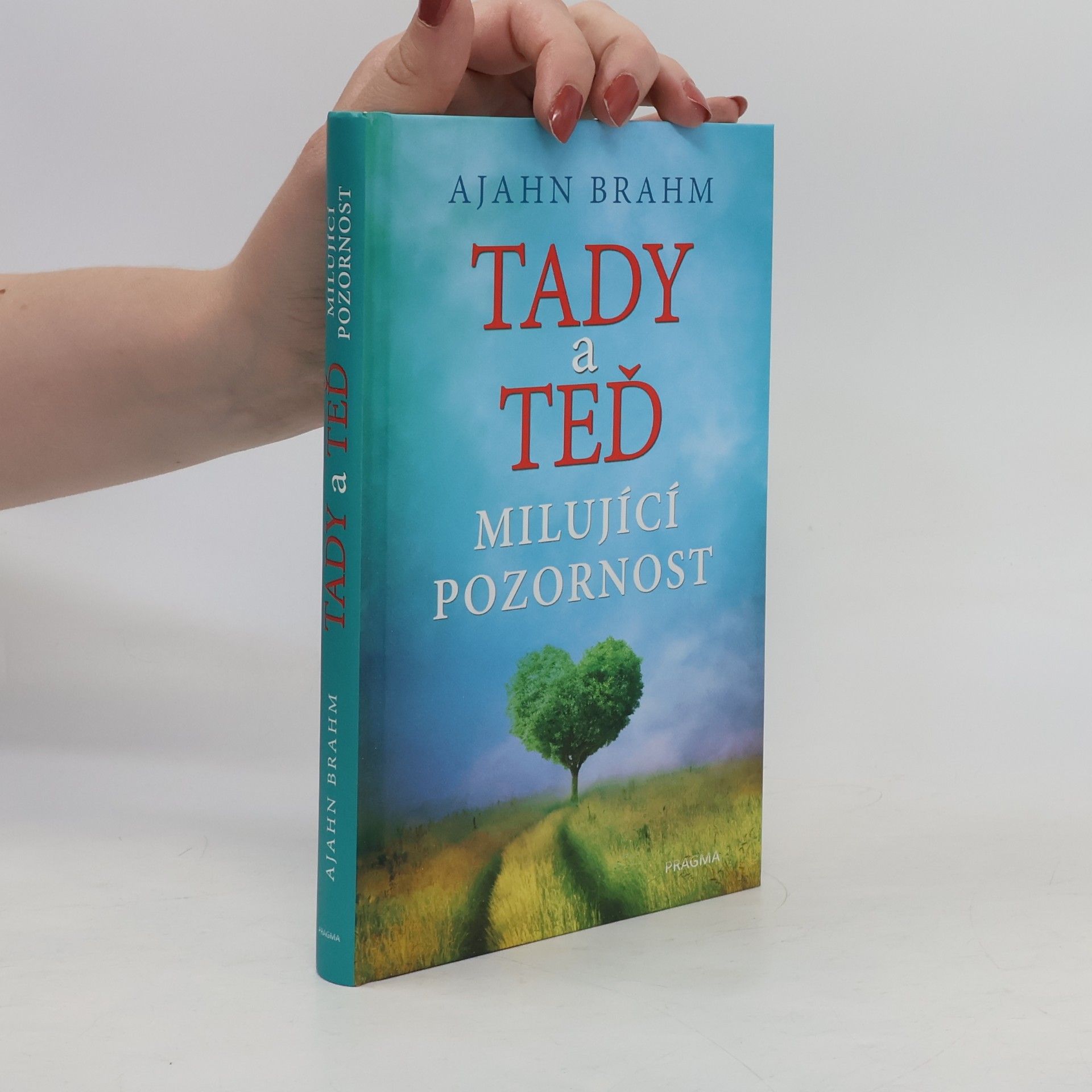 Adzan Brahmavamso Tady a teď. Milující pozornost