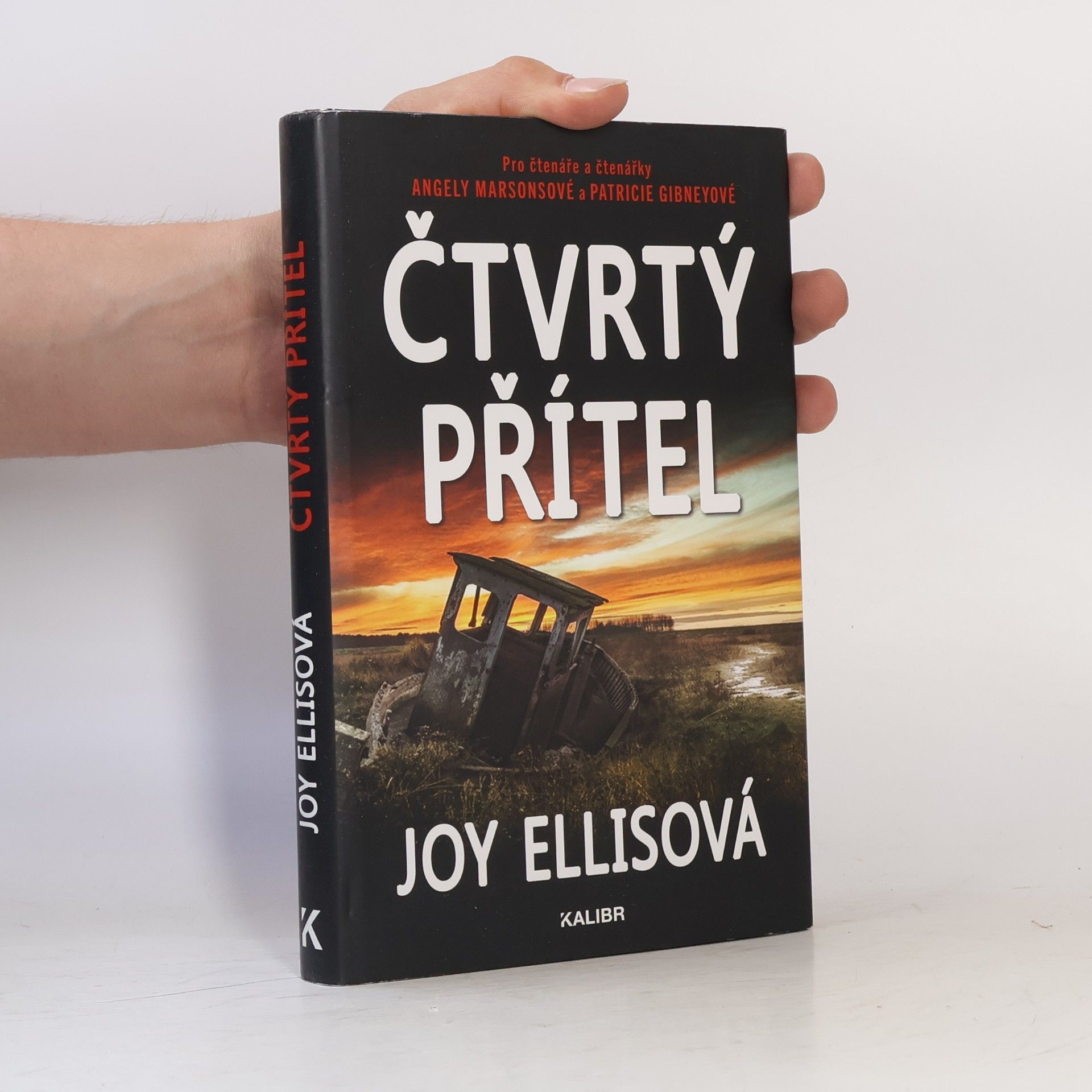 Joy Ellis Čtvrtý přítel
