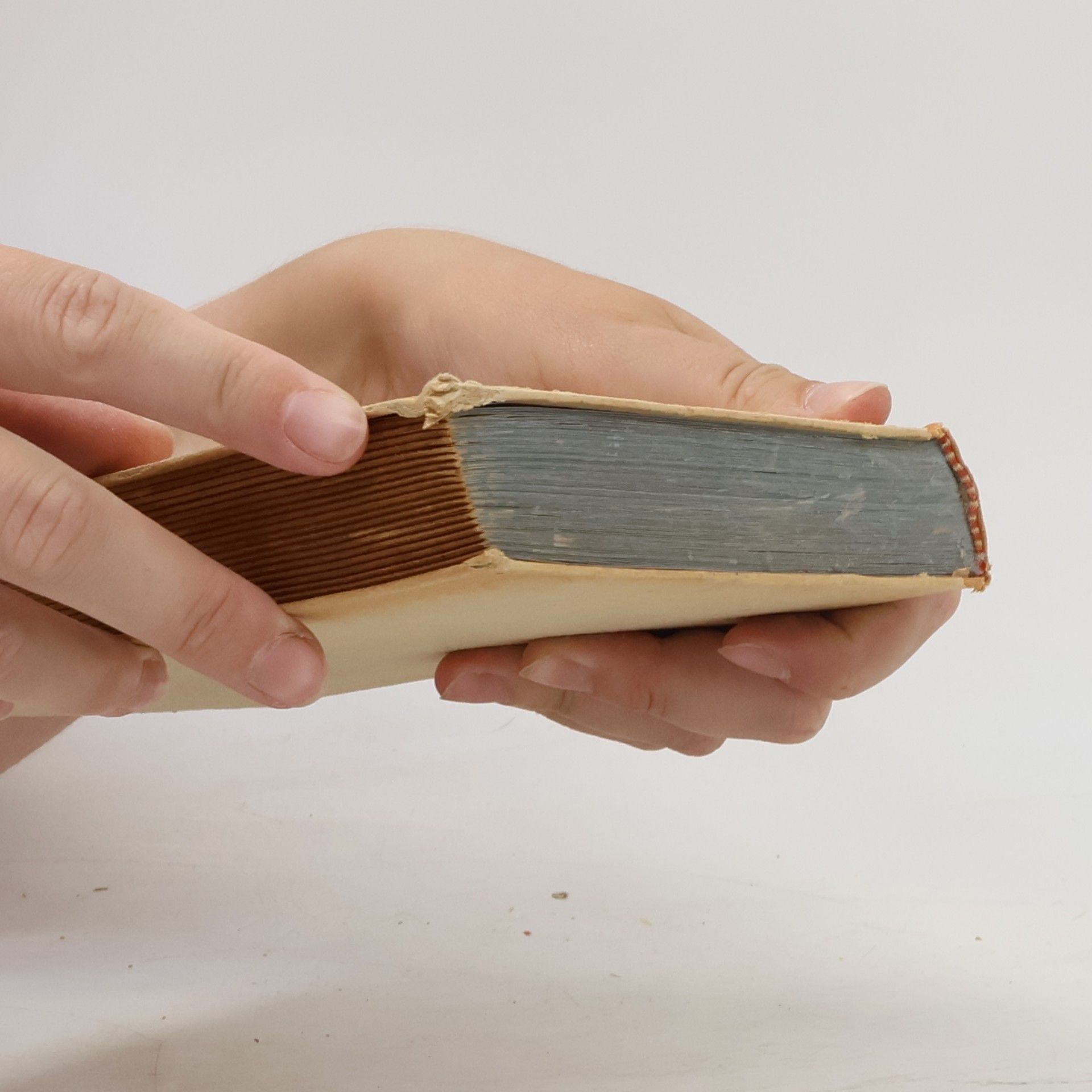 Jack London Lockruf des Goldes