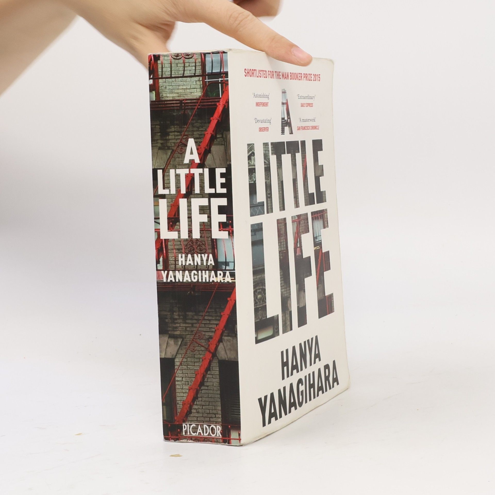 Hanya Yanagihara A Little Life