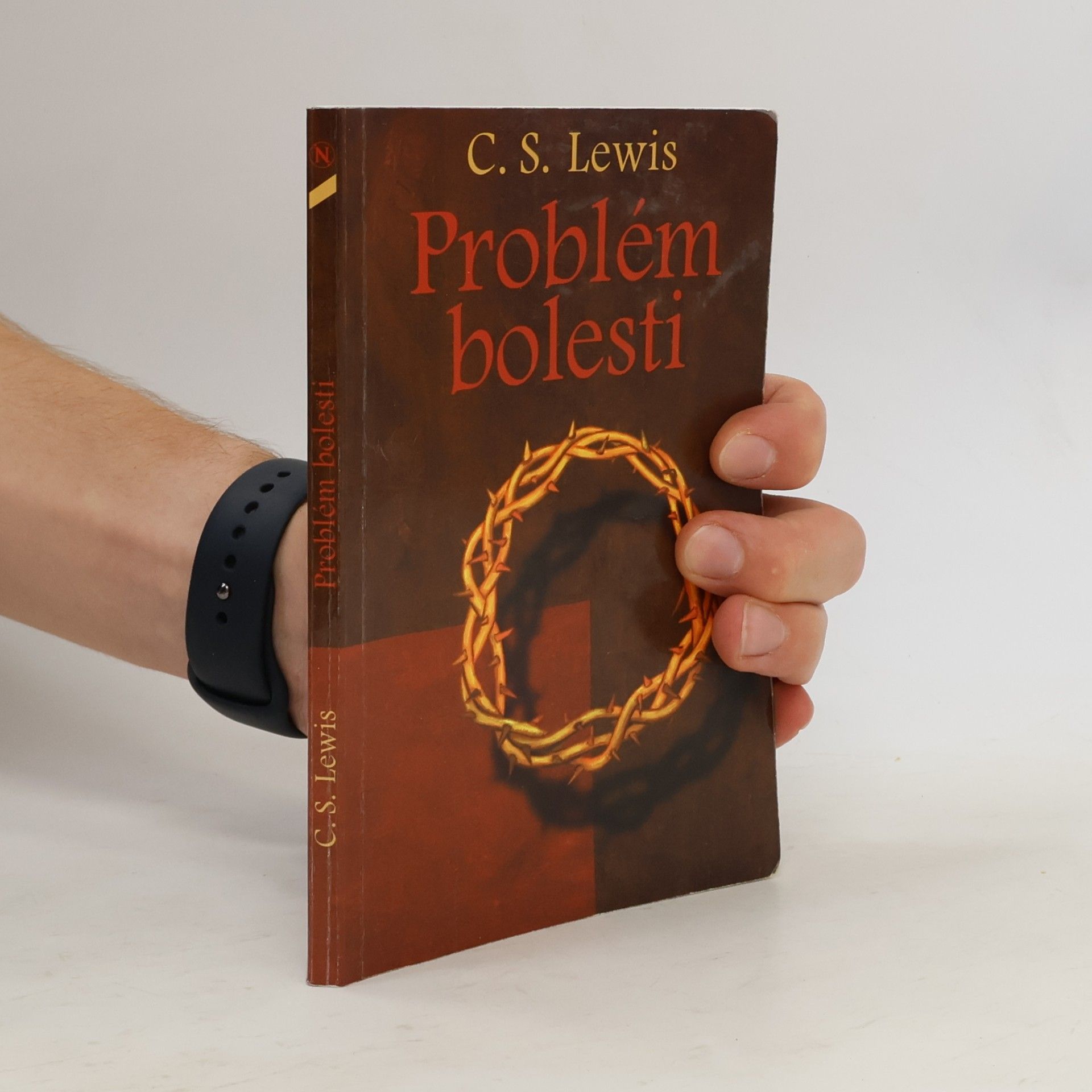 Clive Staples Lewis Problém bolesti