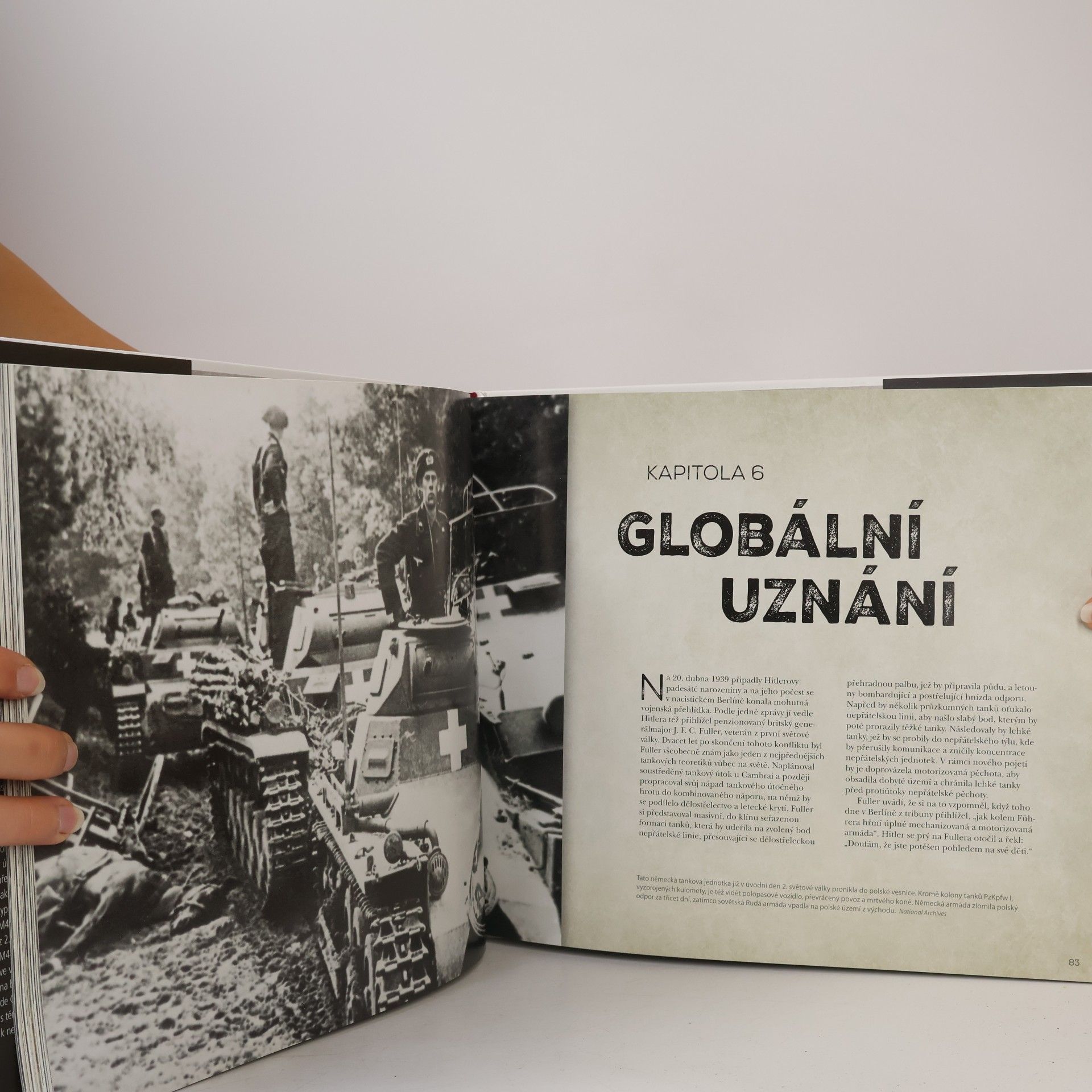 Michael E. Haskew Tank - 100 let nejvýznamnějšího bojového vozidla