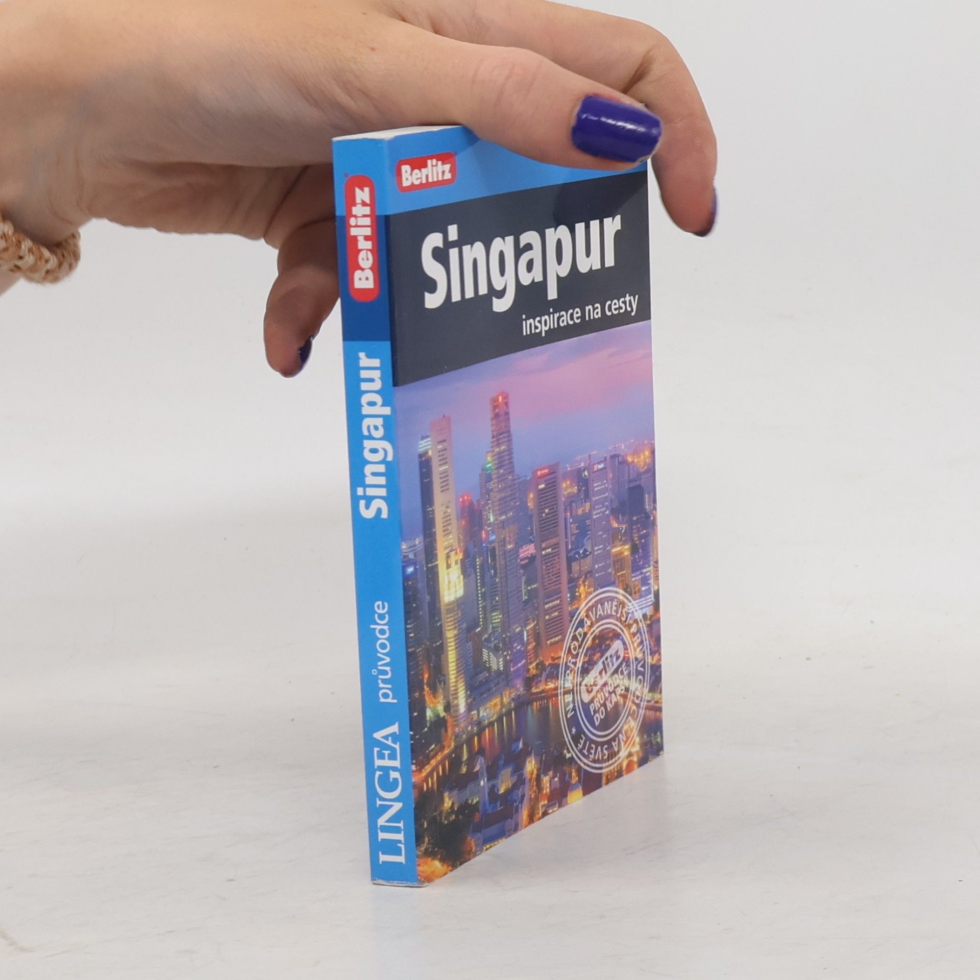 Kolektiv autorů Singapur