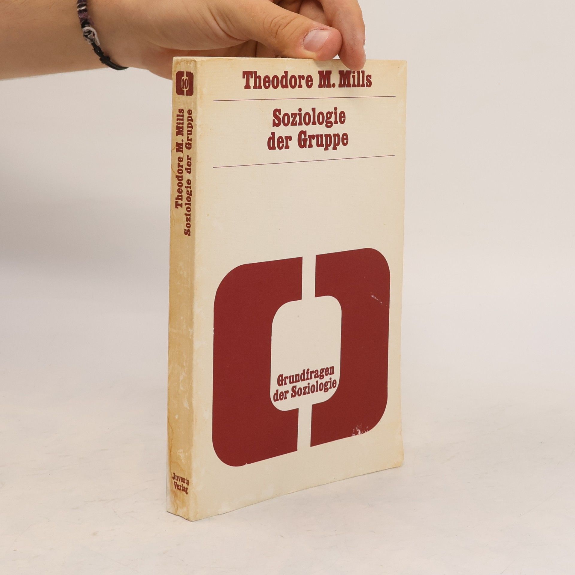 Theodore M. Mills Soziologie der Gruppe