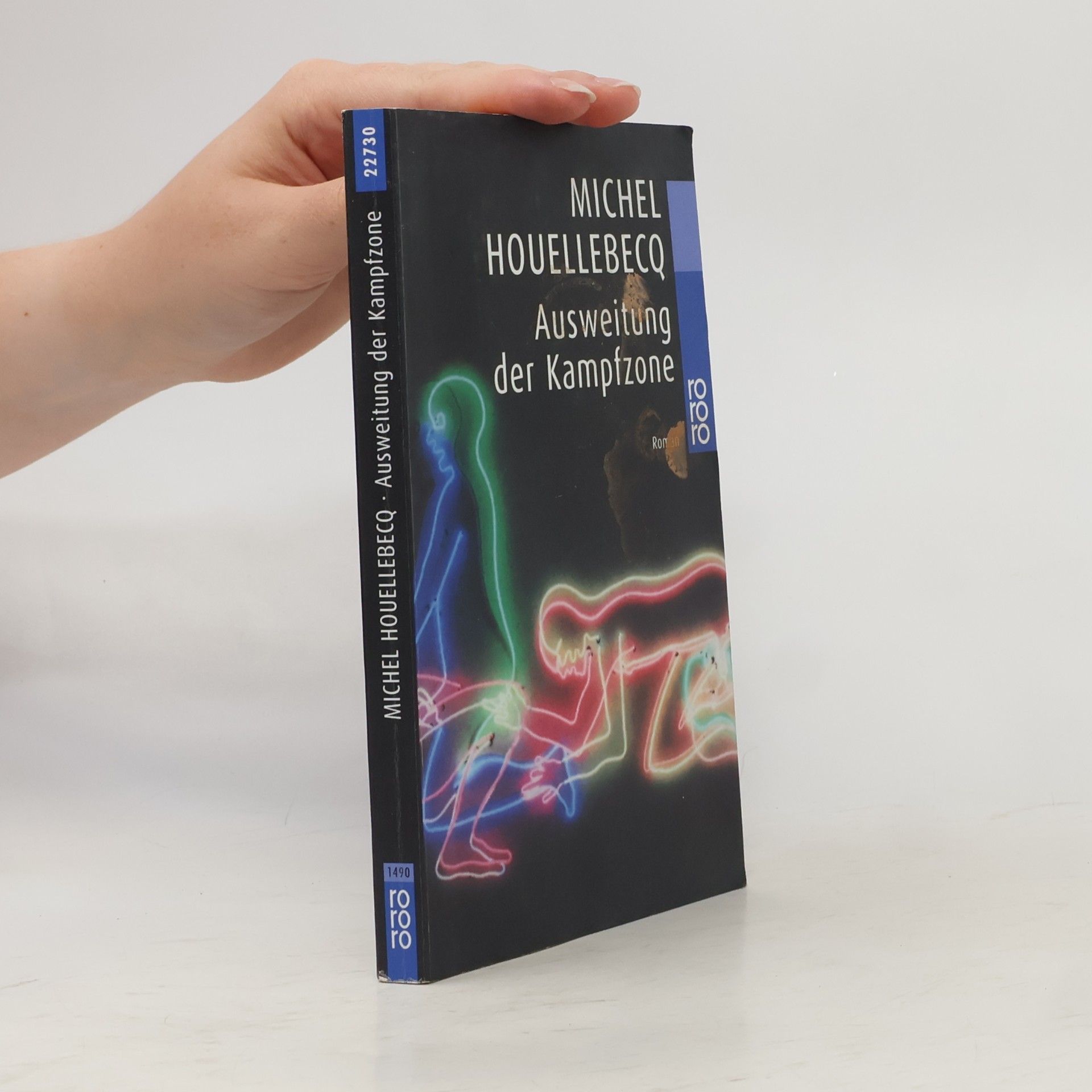 Michel Houellebecq Ausweitung der Kampfzone