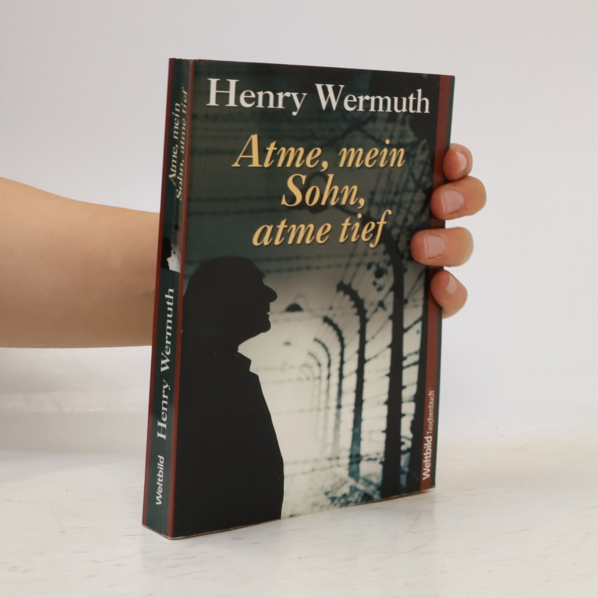 Henry Wermuth Atme, mein Sohn, atme tief