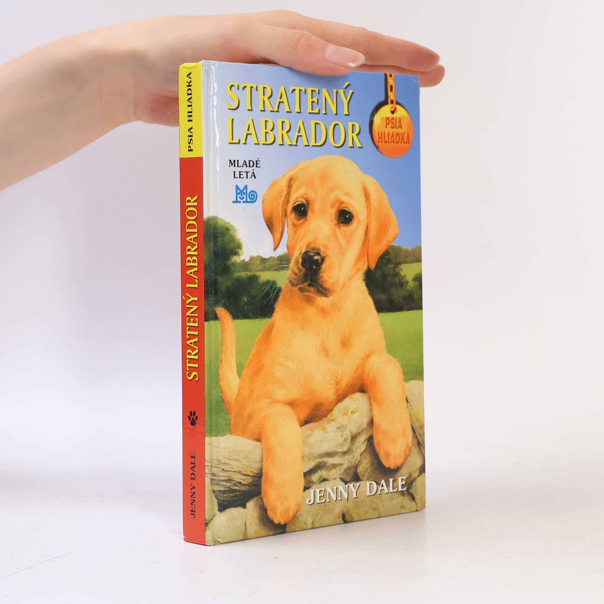 Linda Champan Stratený labrador