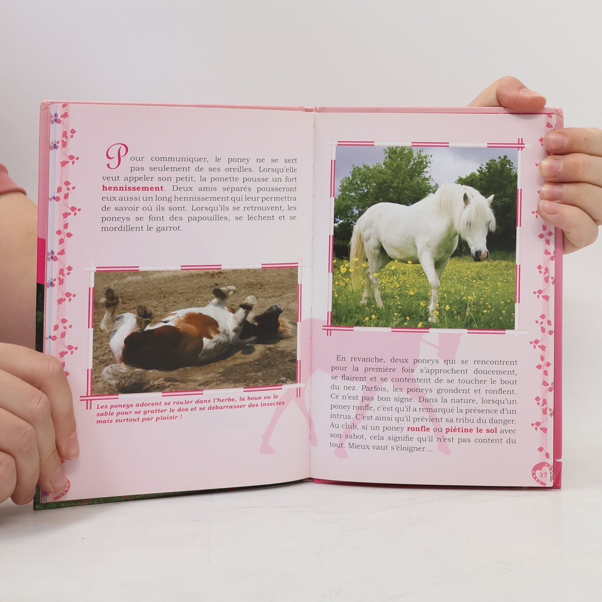 Ledermann, Alexandra Mon premier poney