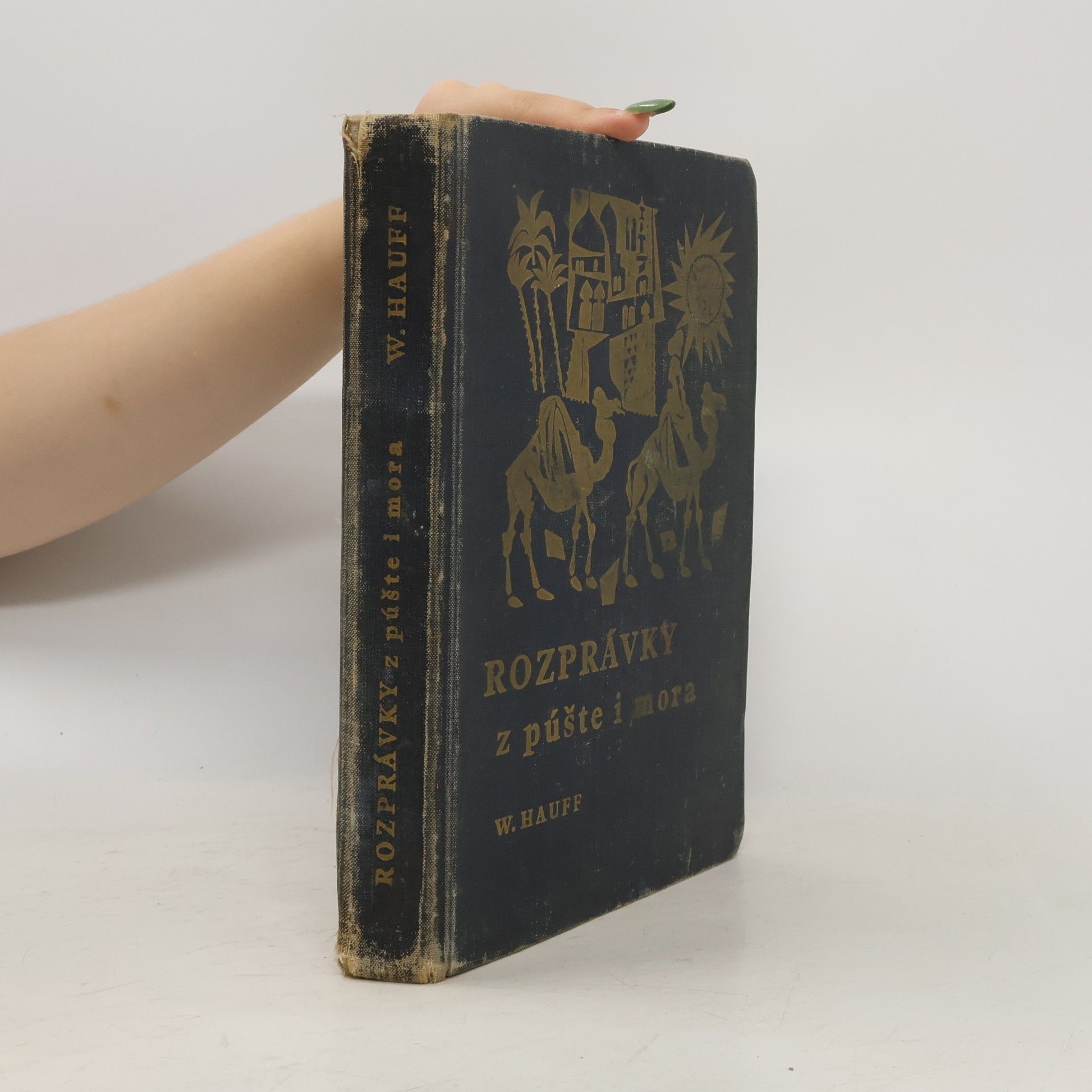 Wilhelm Hauff Rozprávky z púště i mora