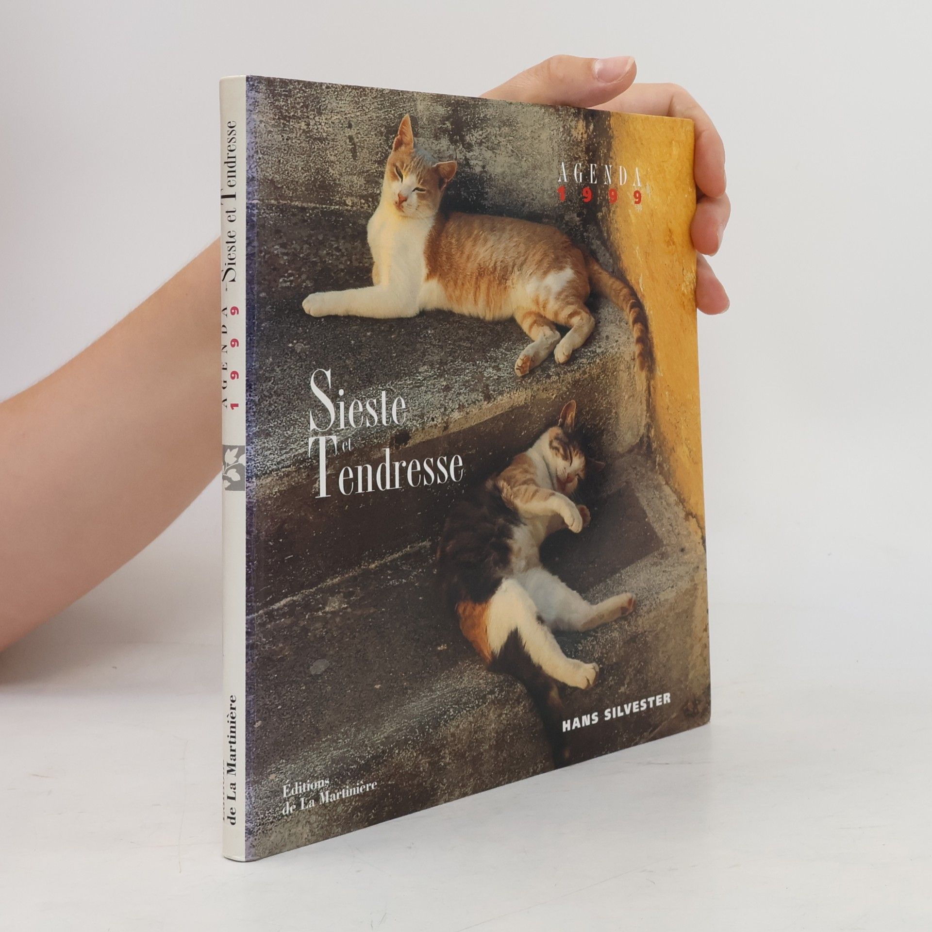 Autorenkollektiv Agenda 99 chats - sieste et tendresse (Photo Découverte)