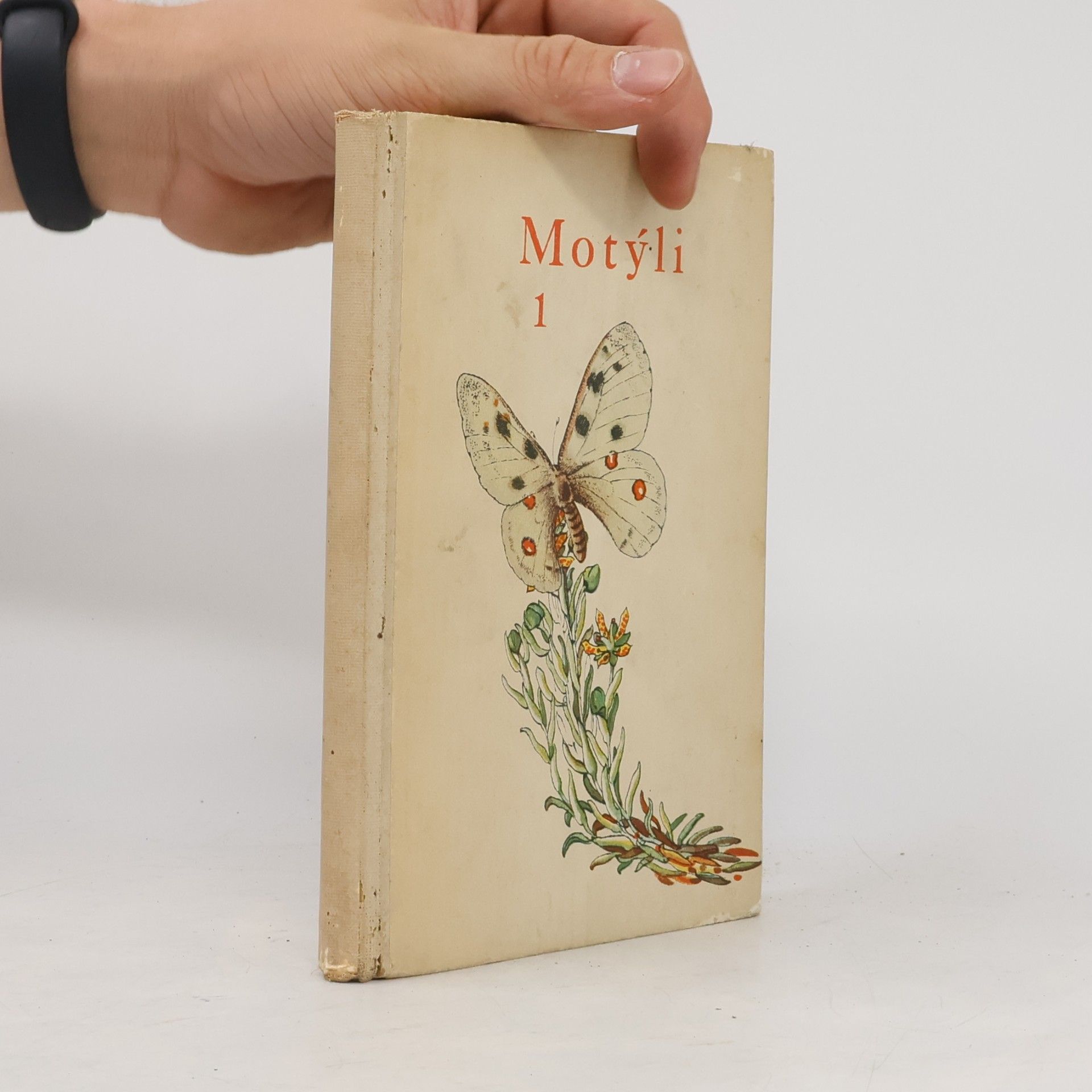 Rudolf Schwarz Motýli 1