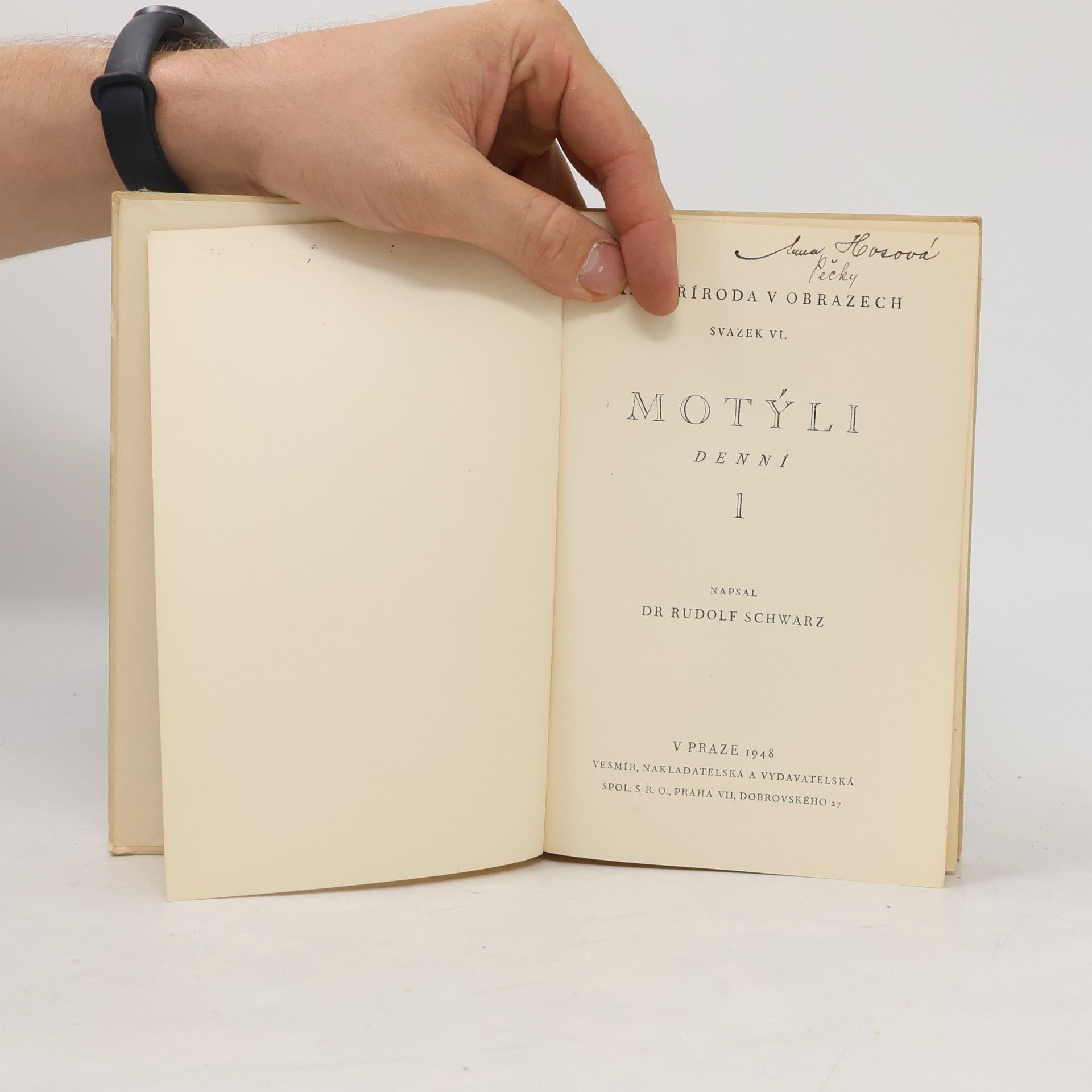 Rudolf Schwarz Motýli 1