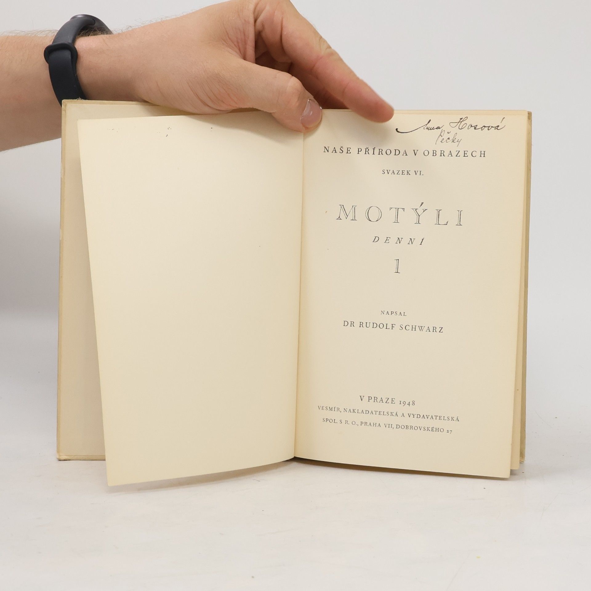 Rudolf Schwarz Motýli 1