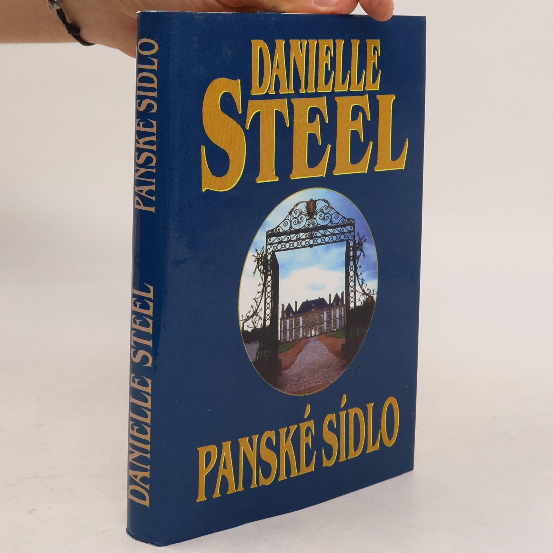 Danielle Steel Panské sídlo