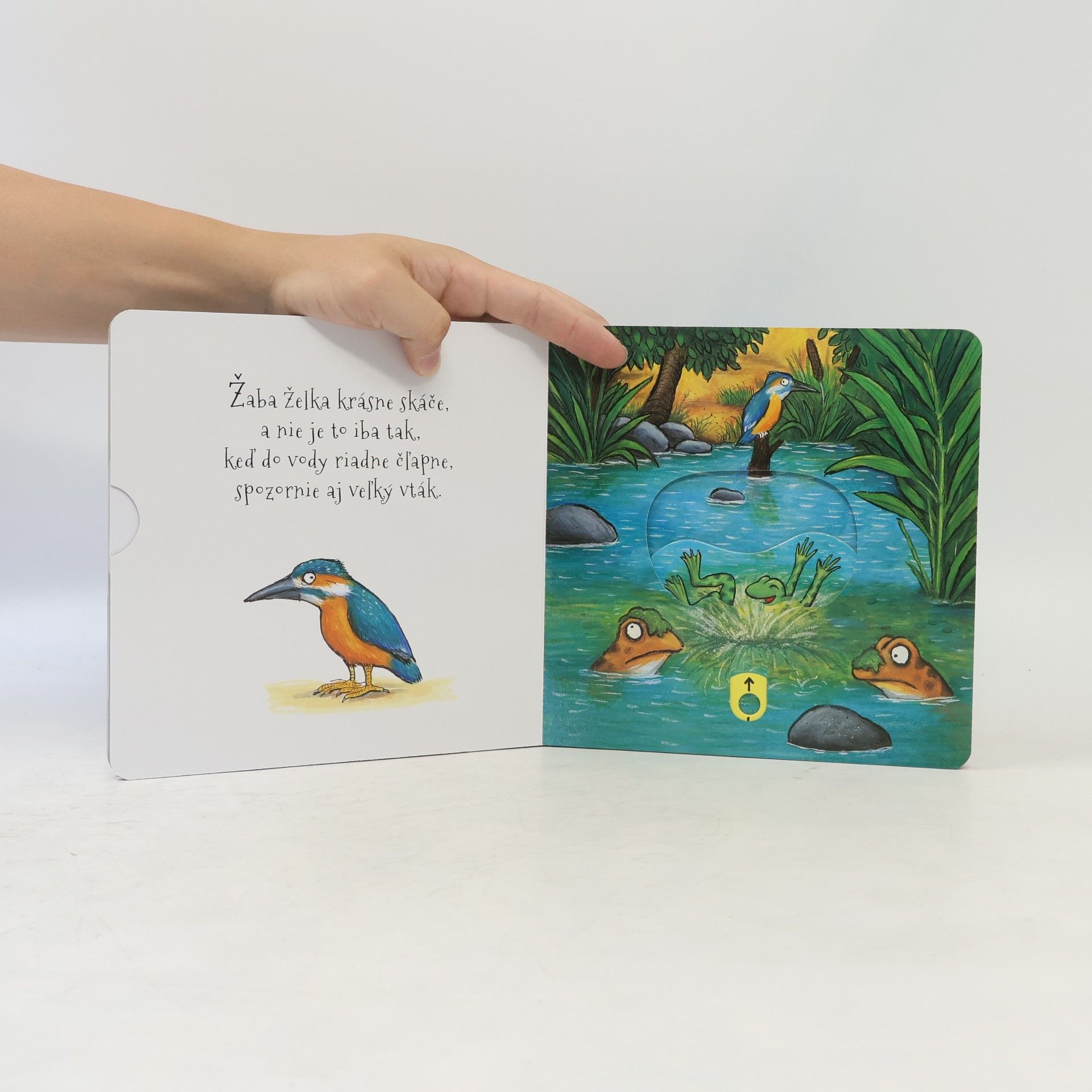 Axel Scheffler Žaba Želka