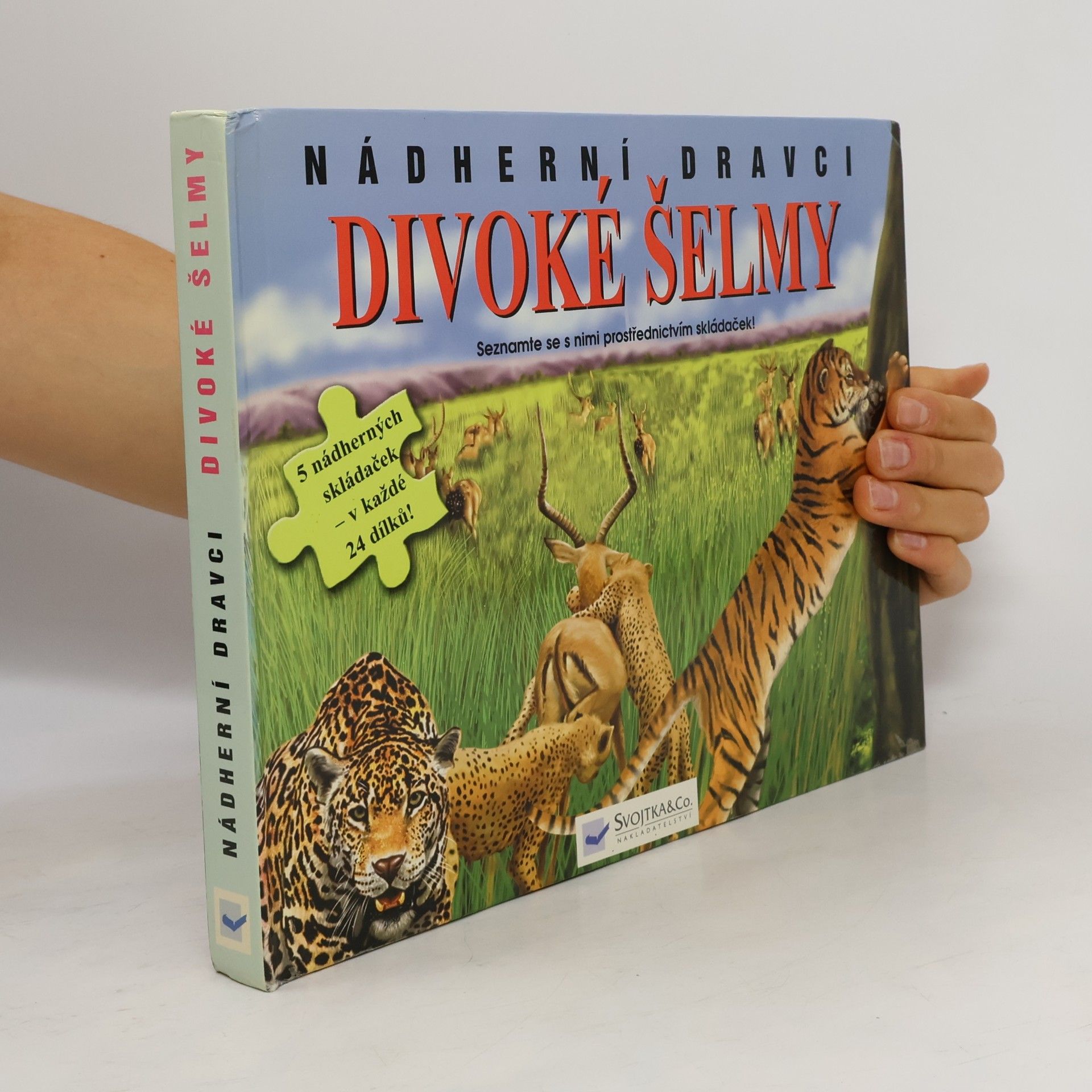 Kolektiv autorů Divoké šelmy