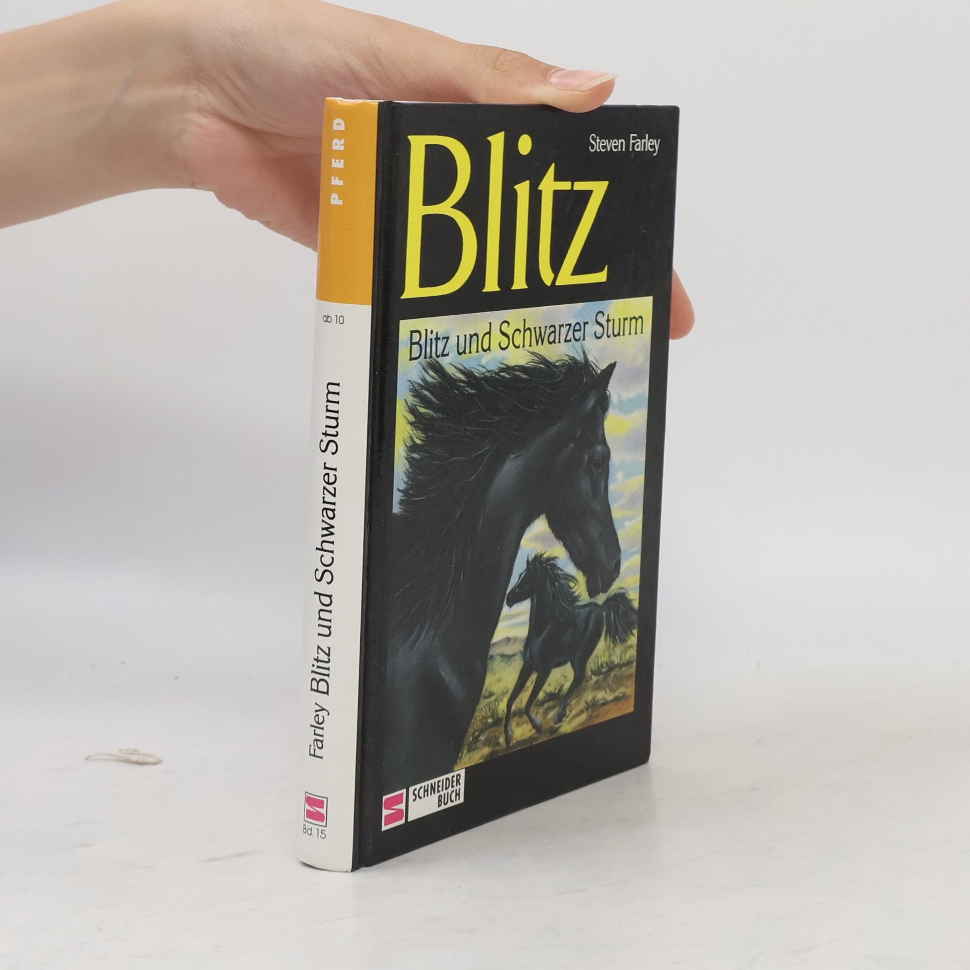 Steven Farley Blitz und Schwarzer Sturm. Band 16