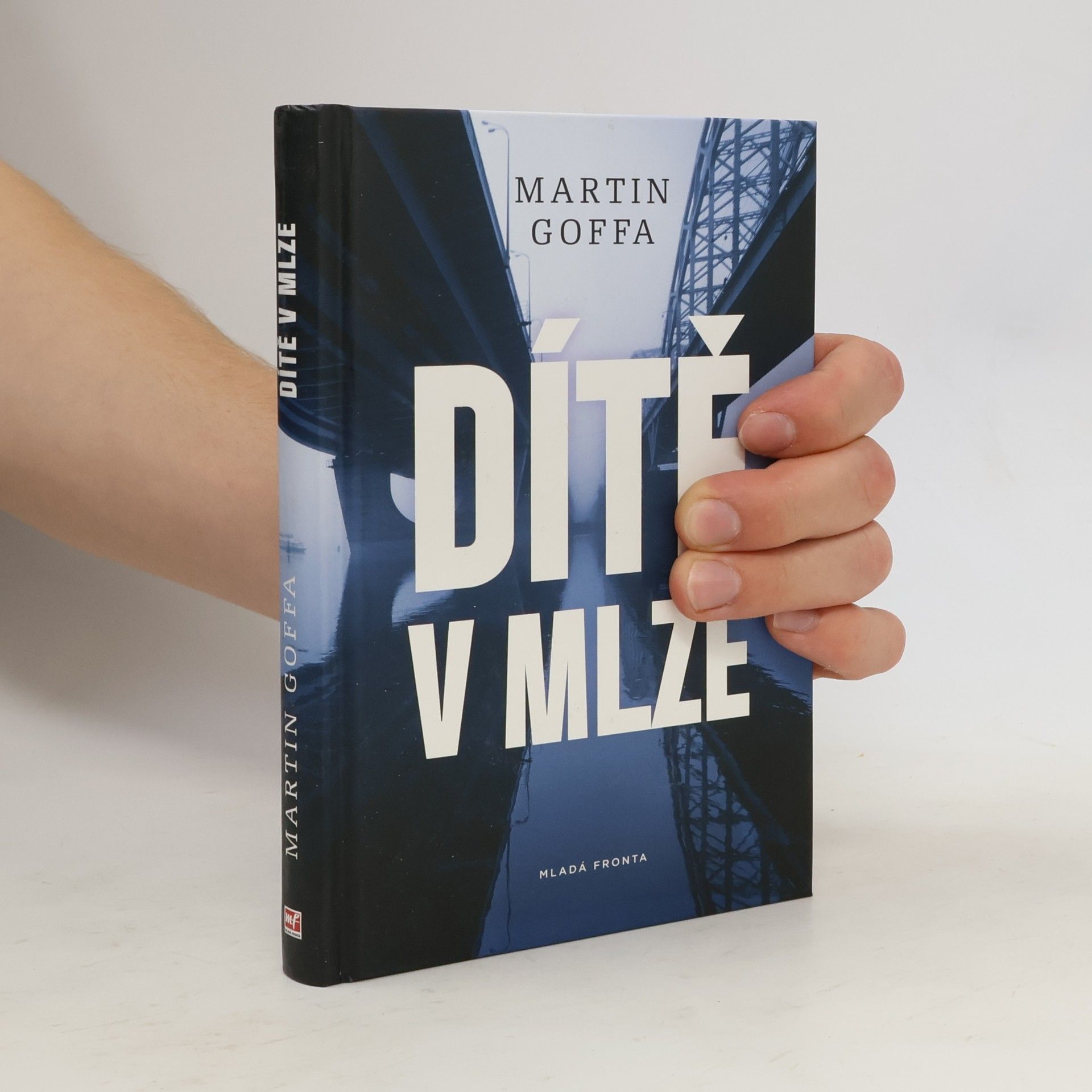 Martin Goffa Dítě v mlze