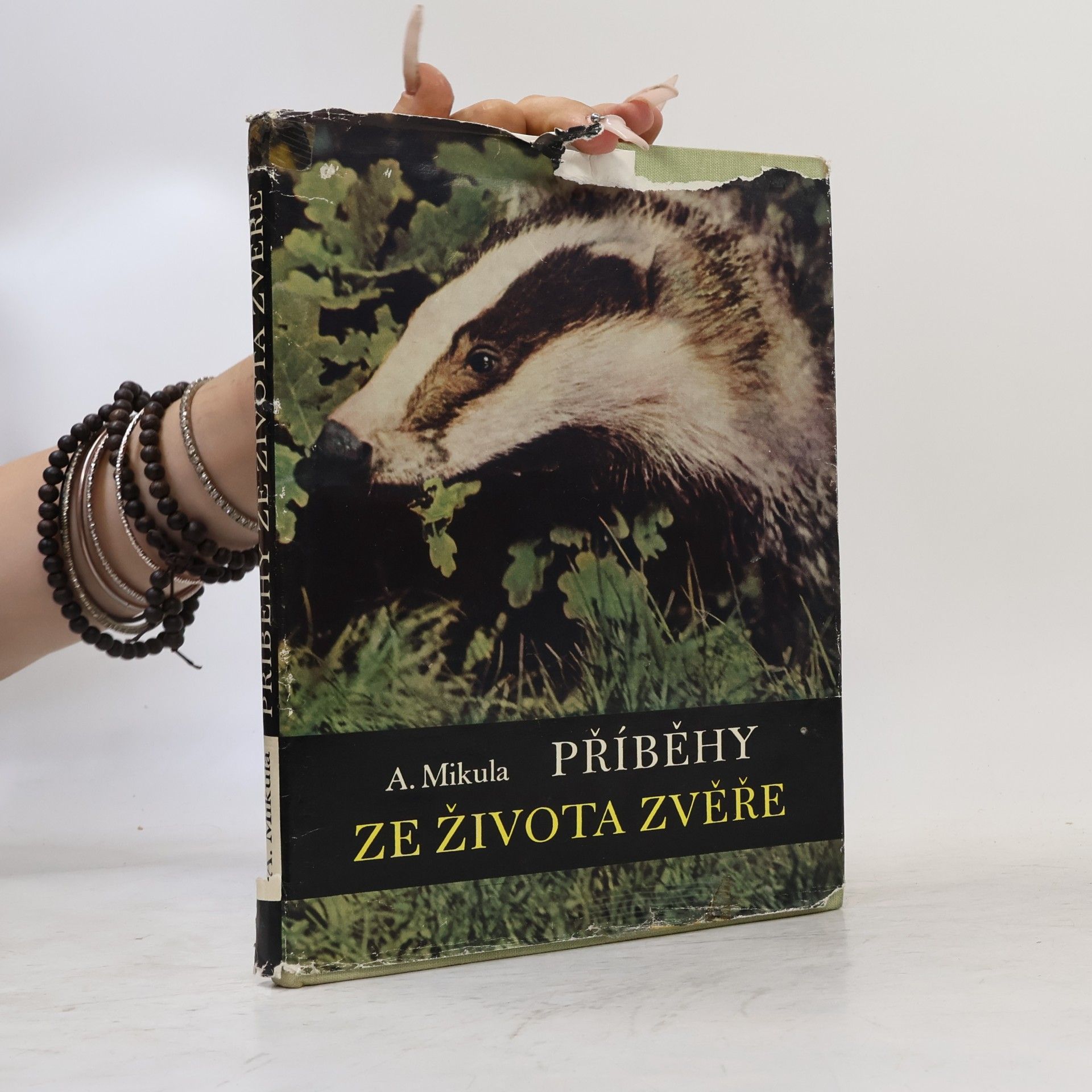 Příběhy ze života zvěře