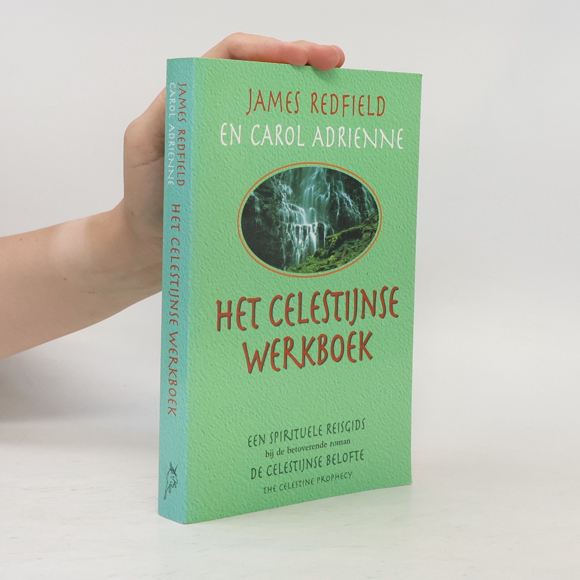 Carol Adrienne De Celestijnse Belofte: Het Celestijnse Werkboek