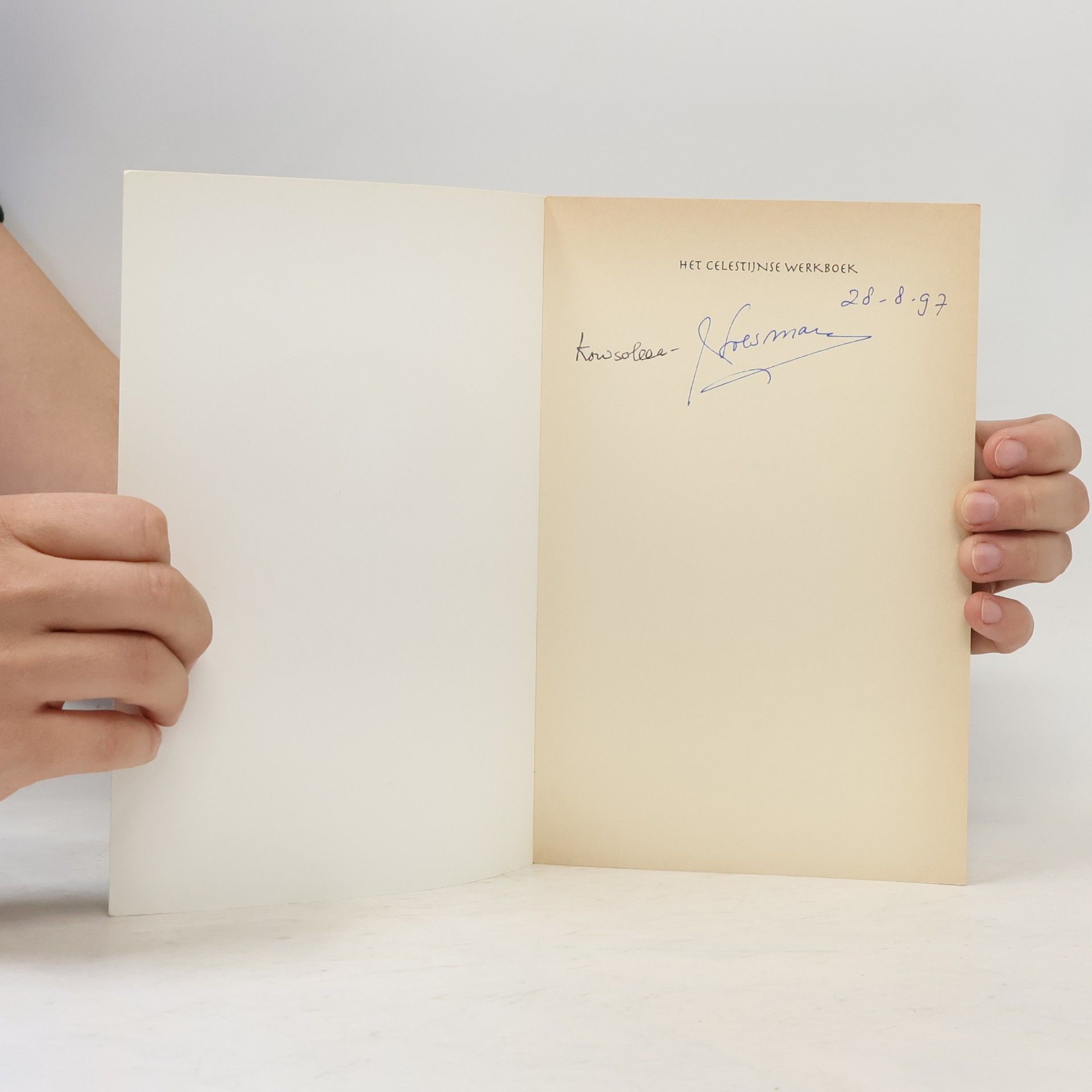 James Redfield De Celestijnse Belofte: Het Celestijnse Werkboek