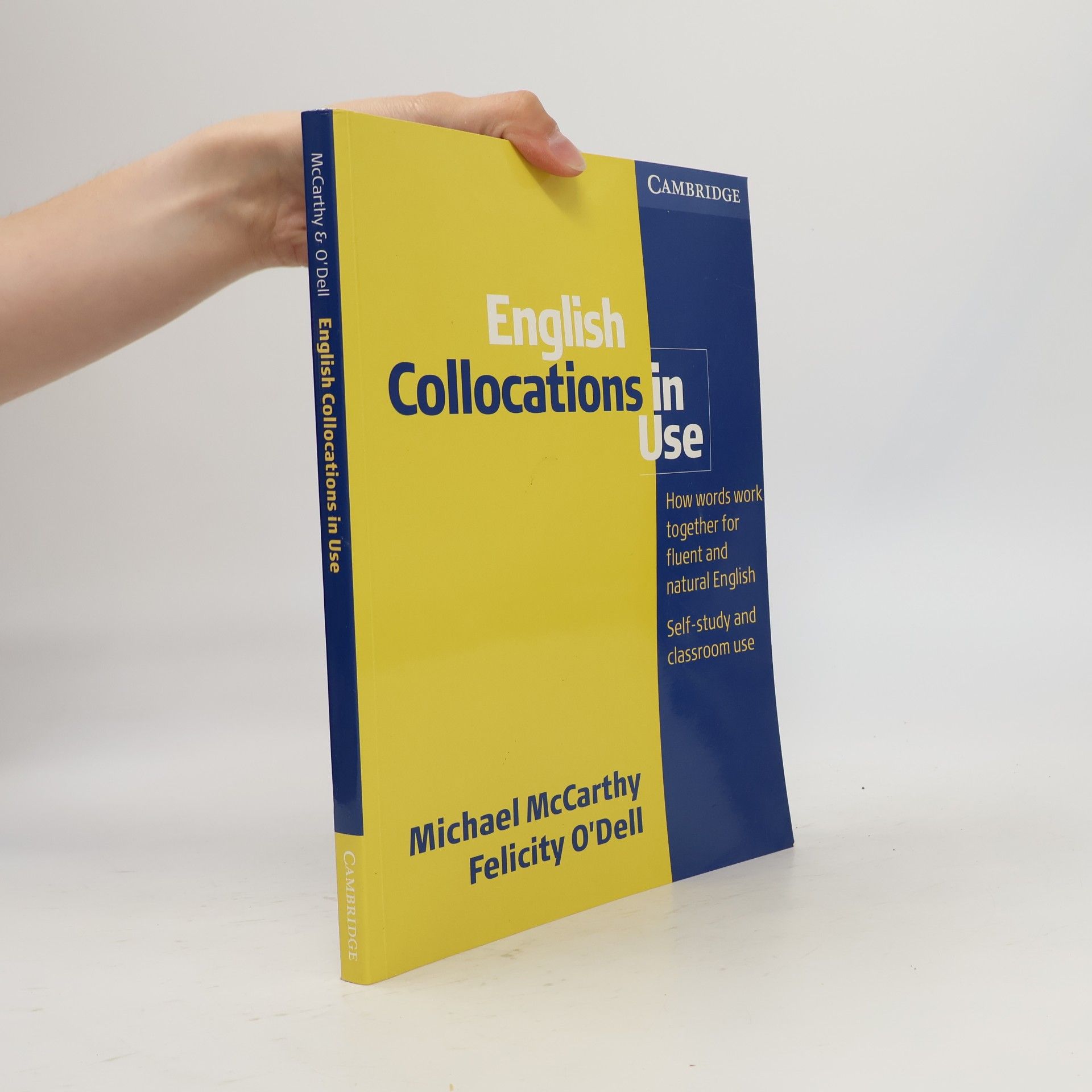Michael McCarthy English collocations in use